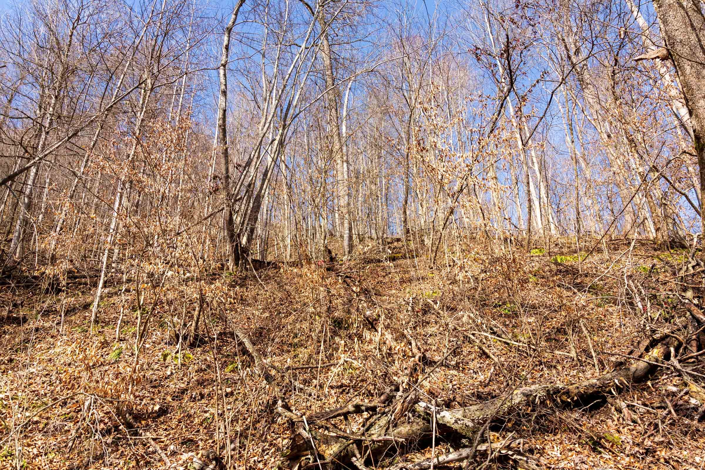 Blackstone Mountain Phase II Tract 81 photo 20