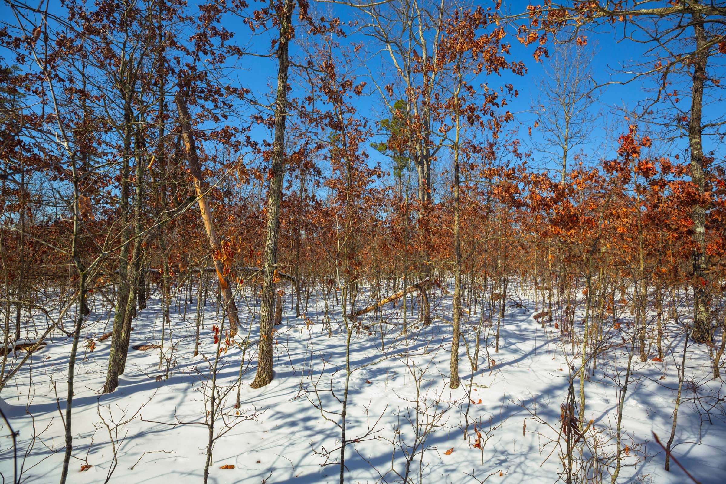 Sleepy Hollow Phase I Tract 14 photo 9