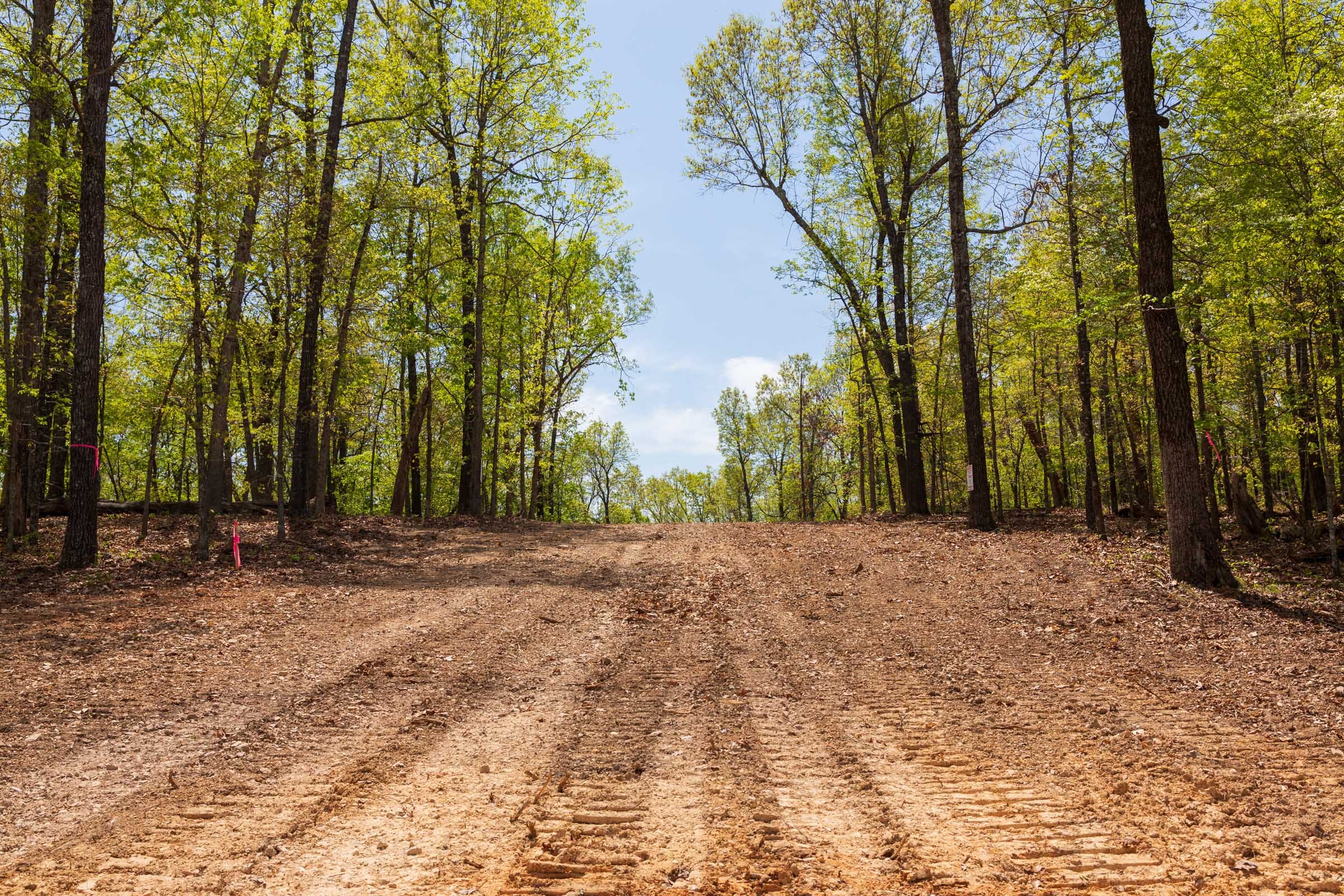 Autumnwood Tract 21 photo 1