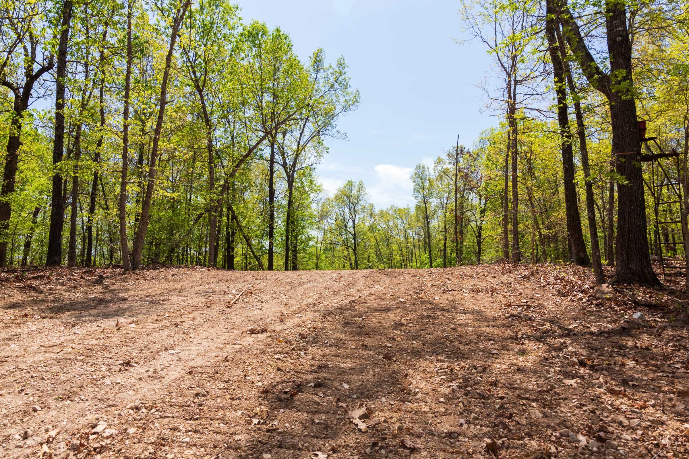 Autumnwood Tract 21 photo 4