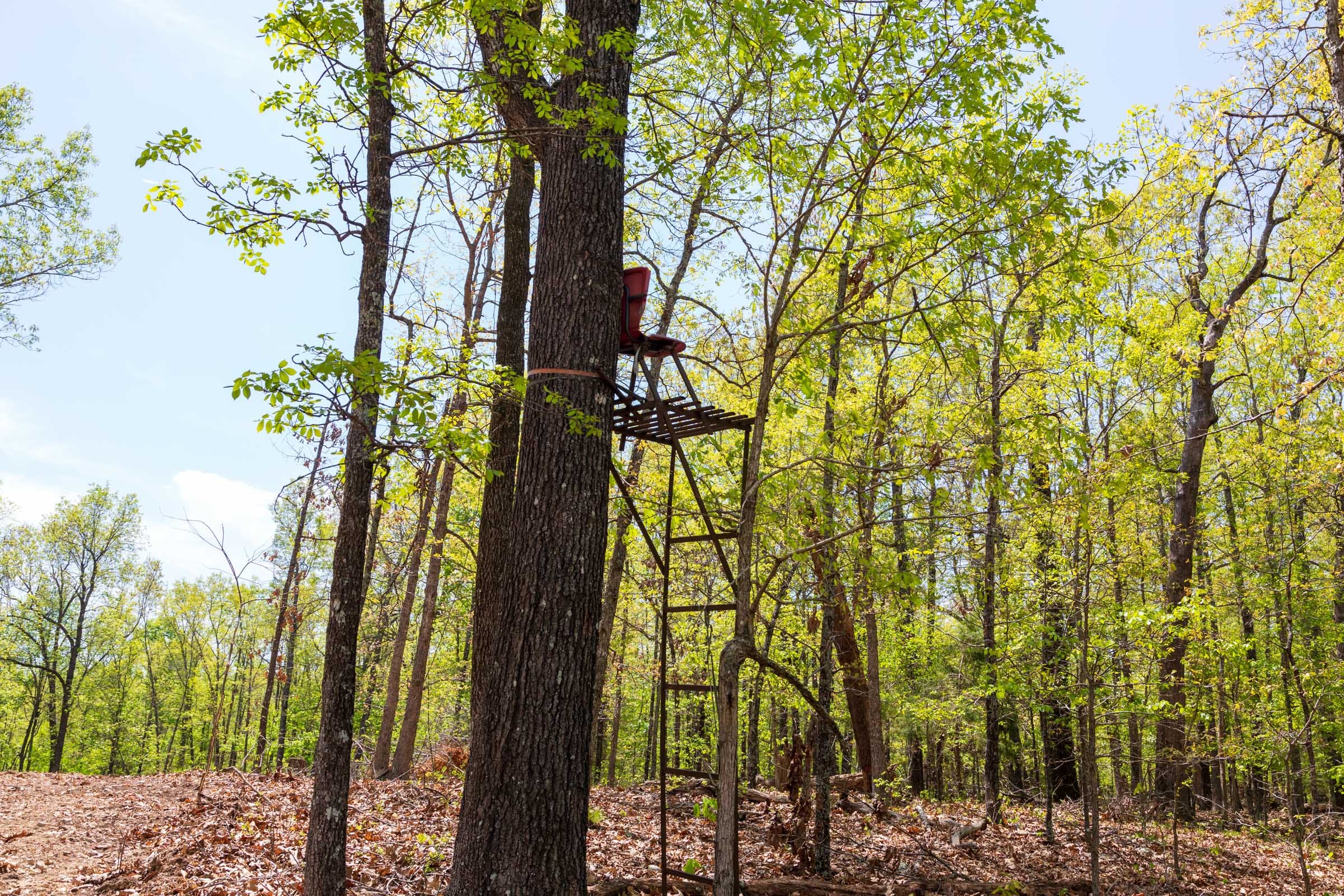 Autumnwood Tract 21 photo 7