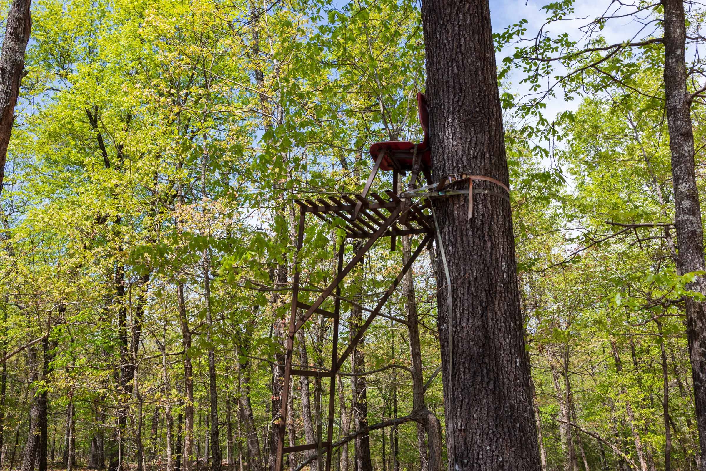 Autumnwood Tract 21 photo 8