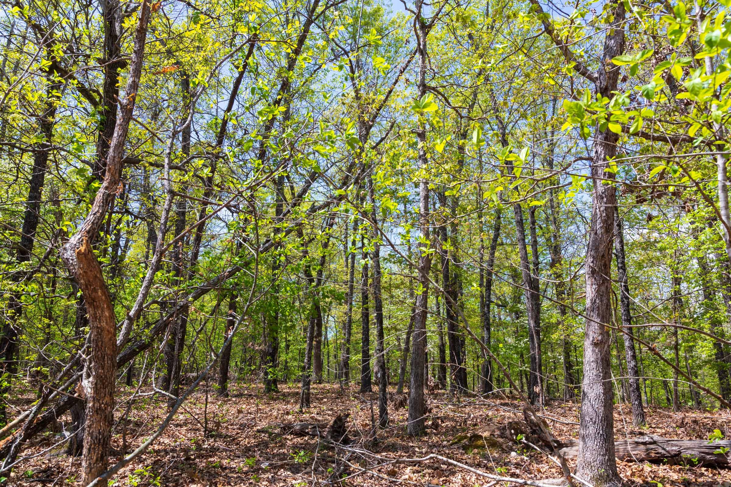 Autumnwood Tract 21 photo 12