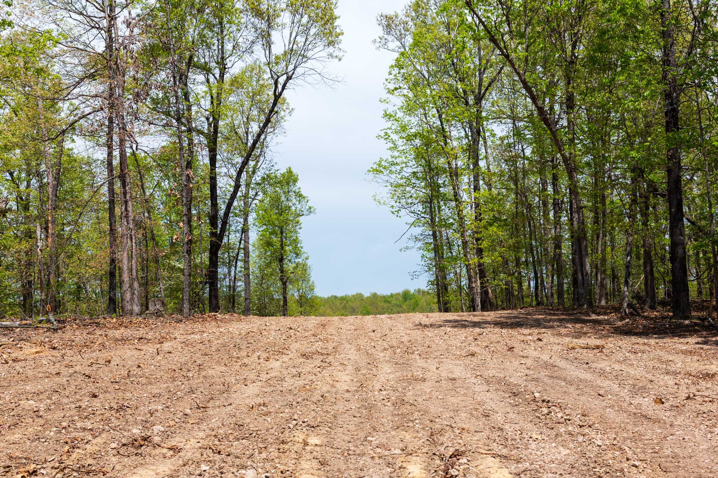 Autumnwood Tract 21 photo 16
