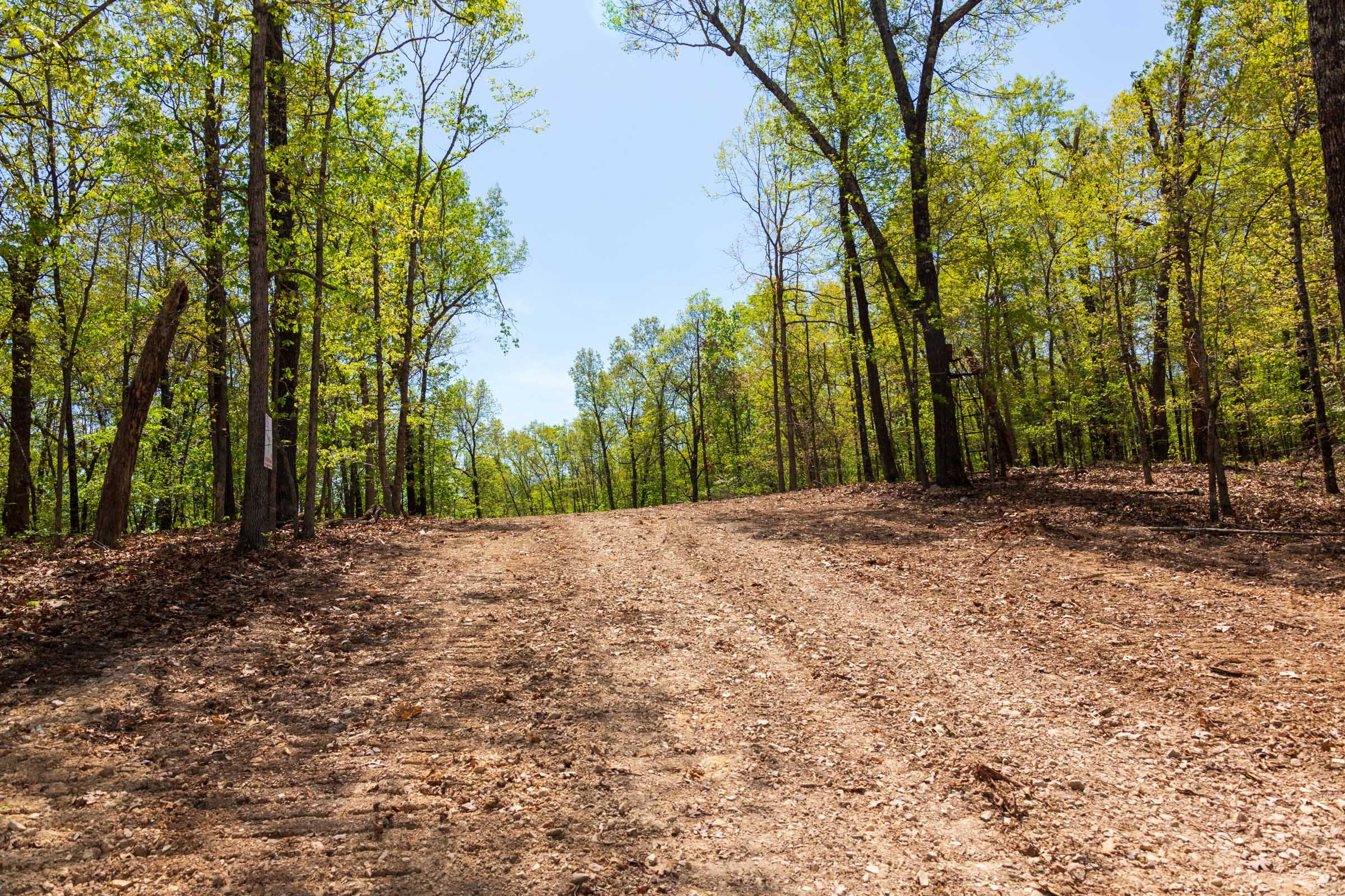 Autumnwood Tract 21 photo 17