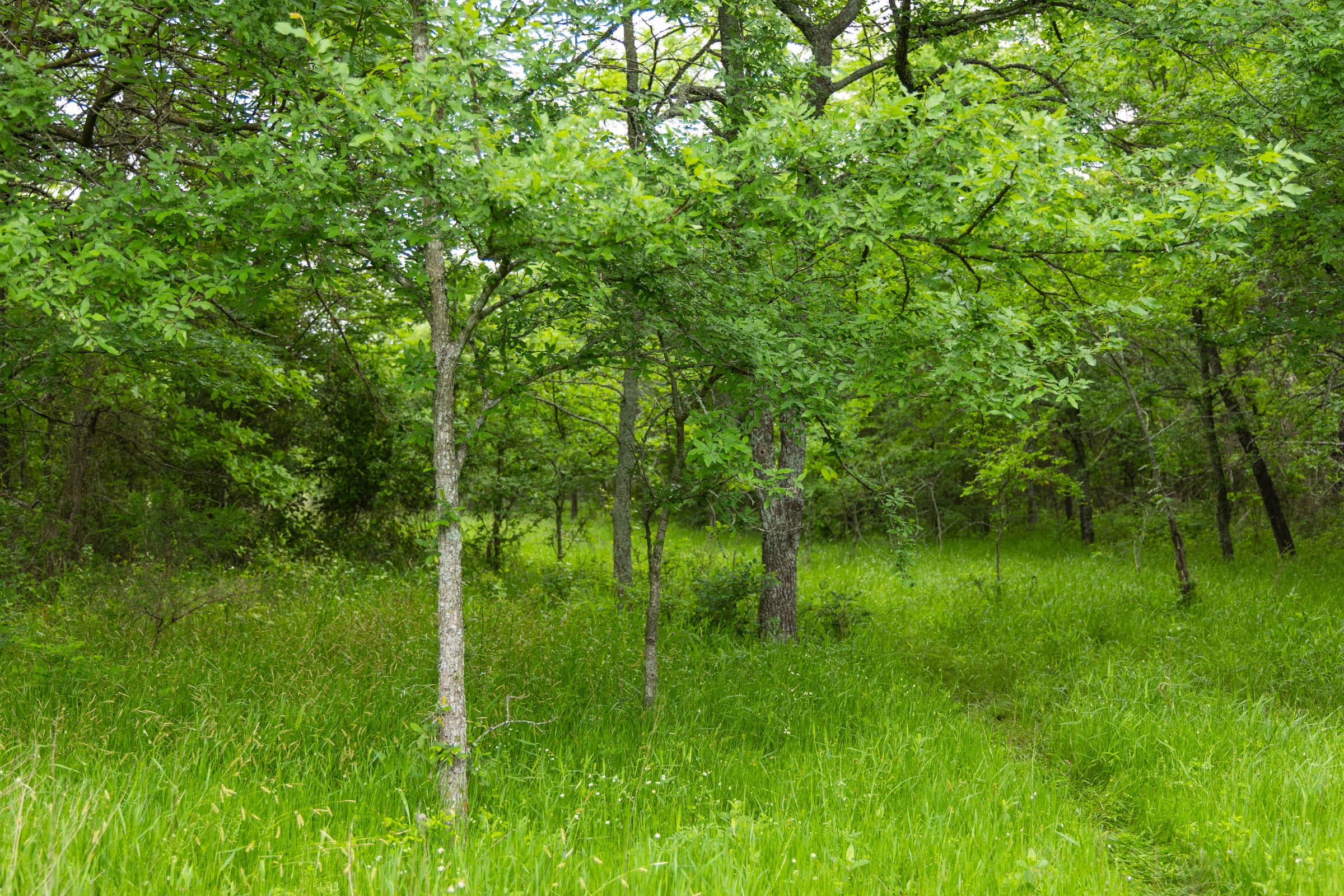 Harmony Hills Tract 10 photo 12