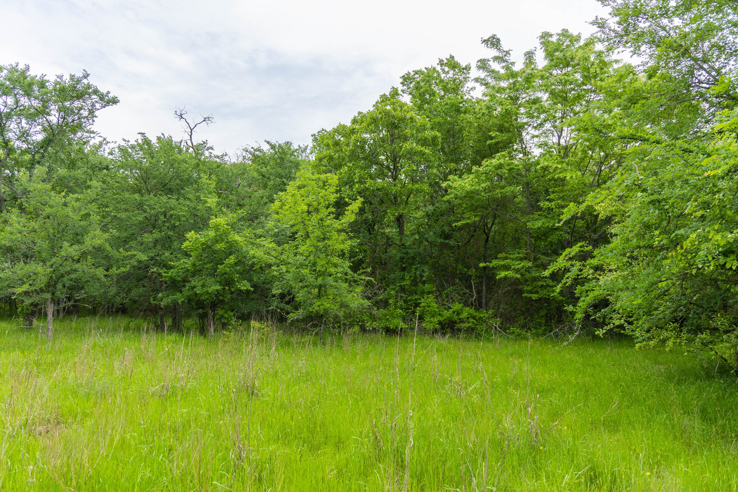 Harmony Hills Tract 10 photo 16