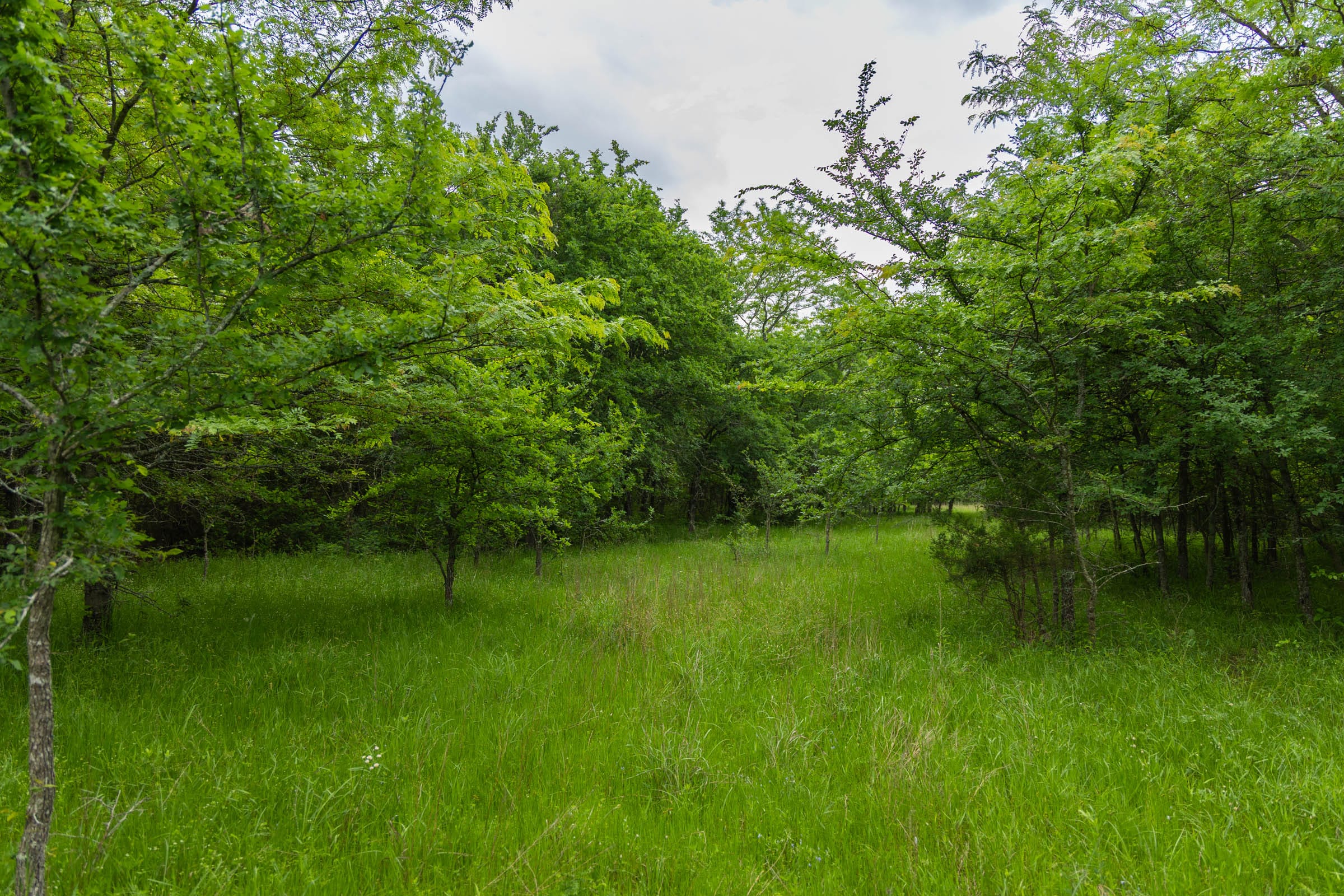 Harmony Hills Tract 10 photo 10