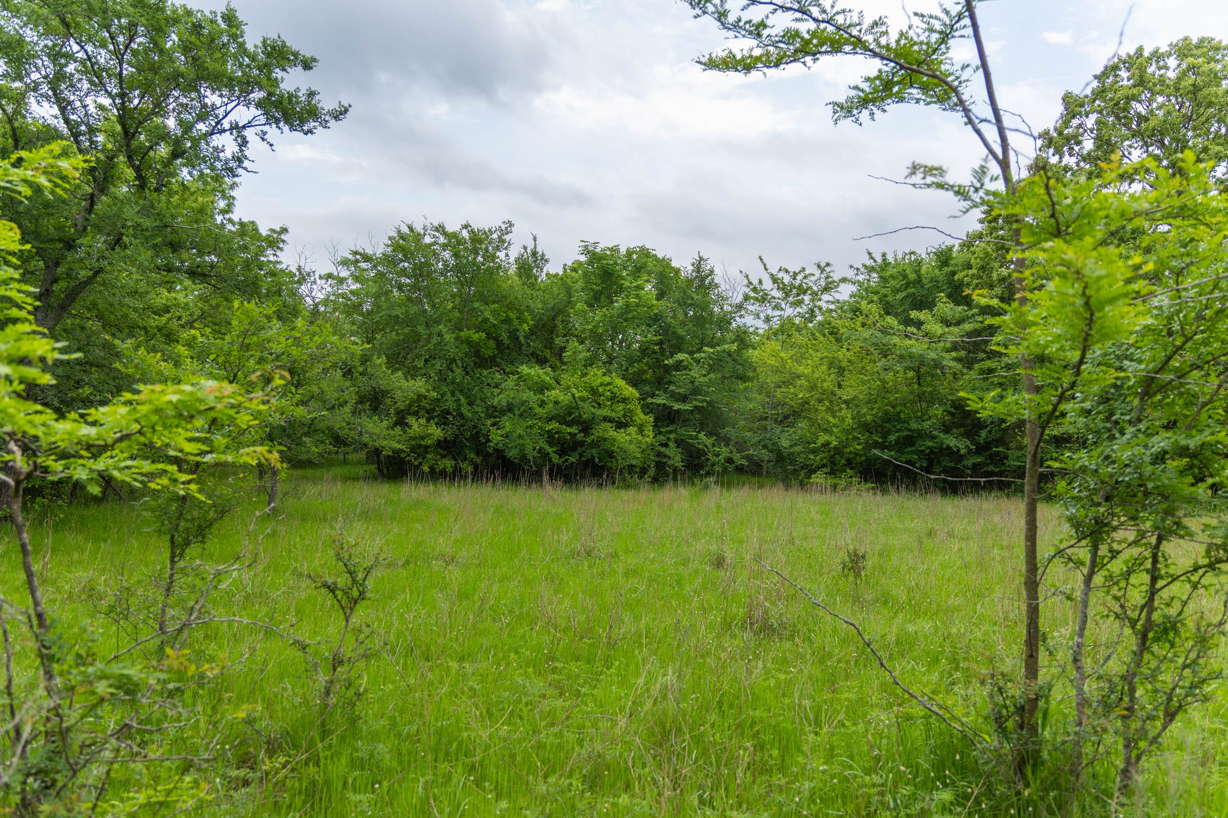 Harmony Hills Tract 10 photo 1