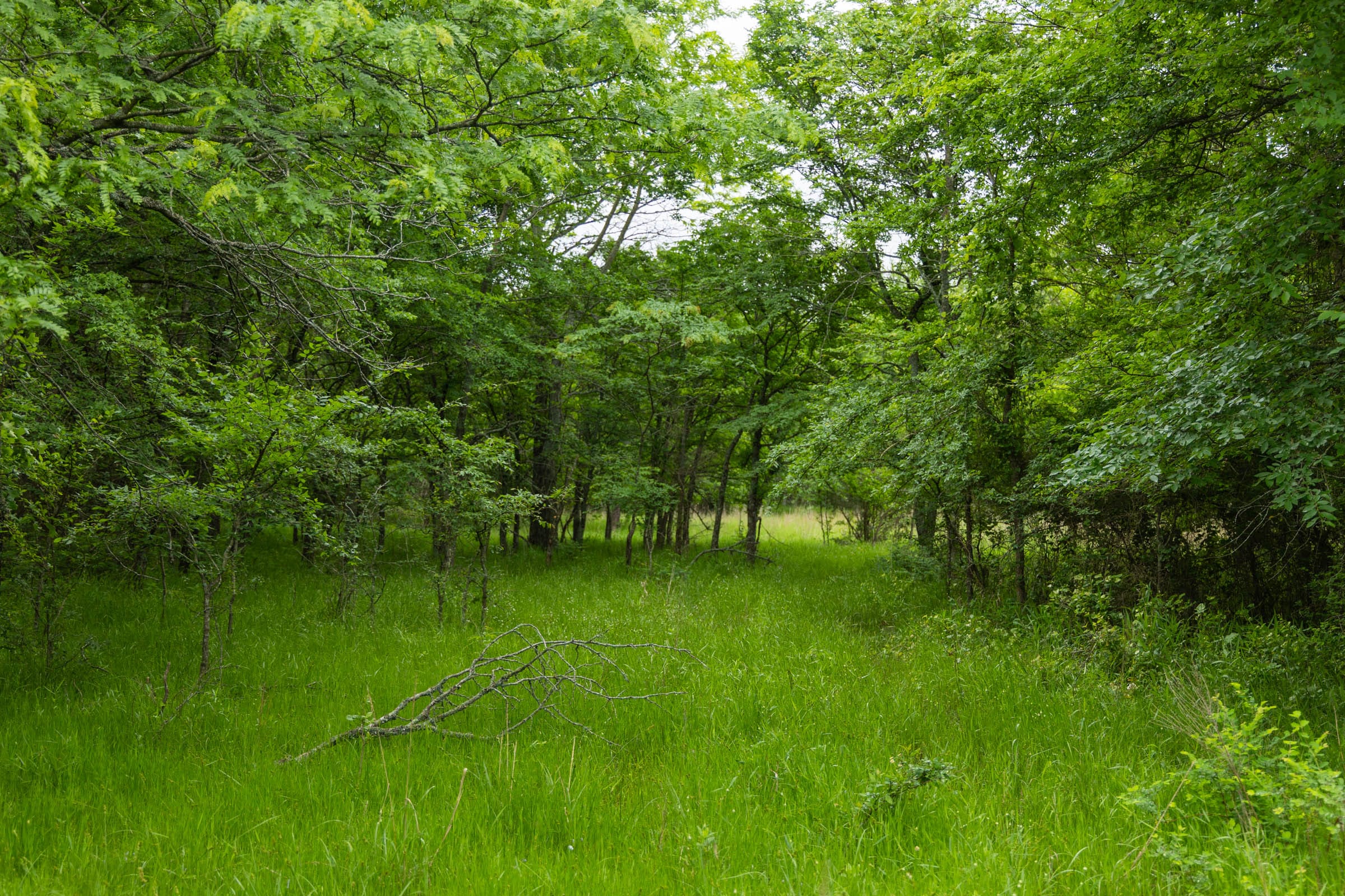 Harmony Hills Tract 10 photo 3