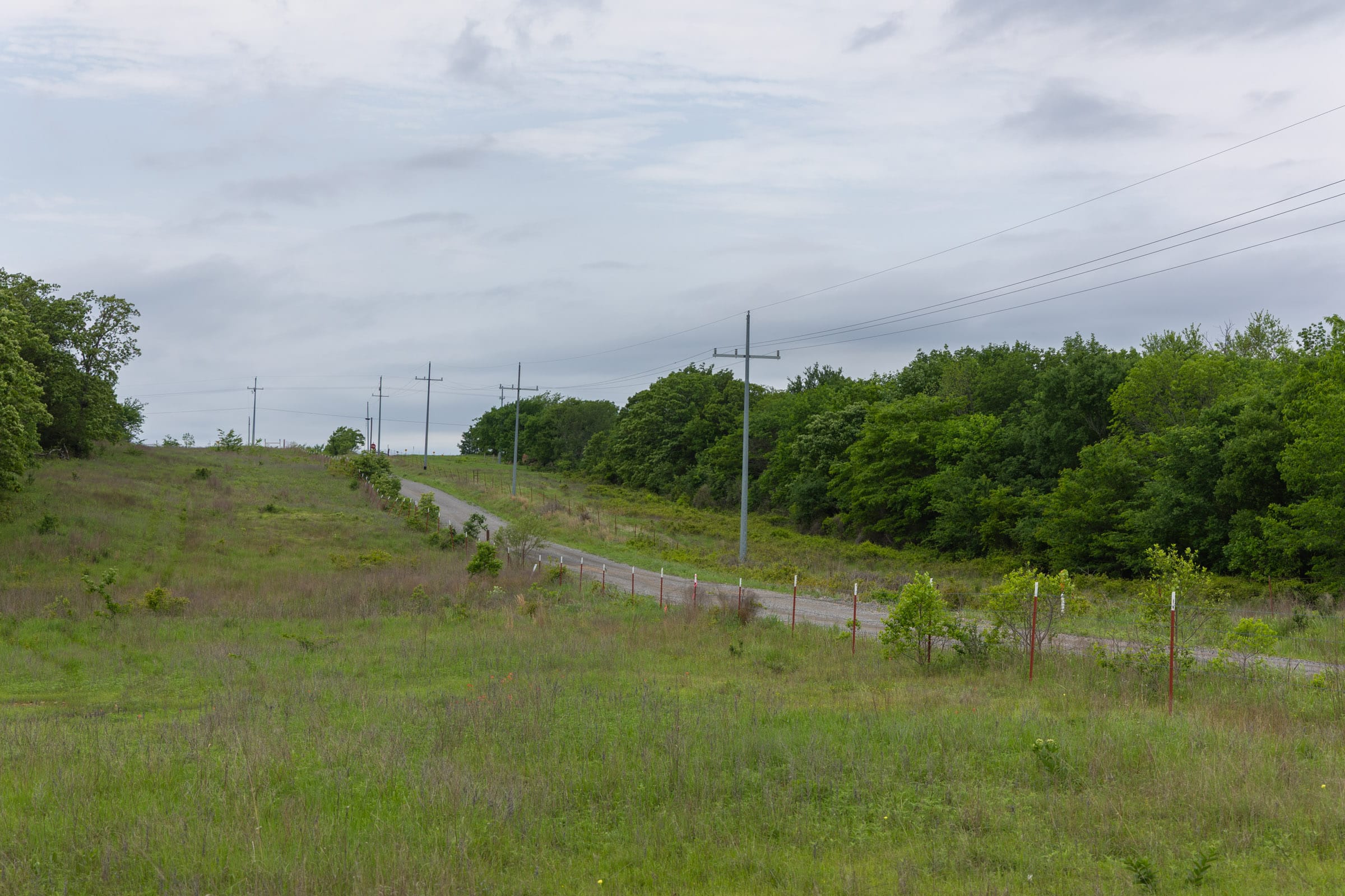 Harmony Hills Tract 10 photo 11