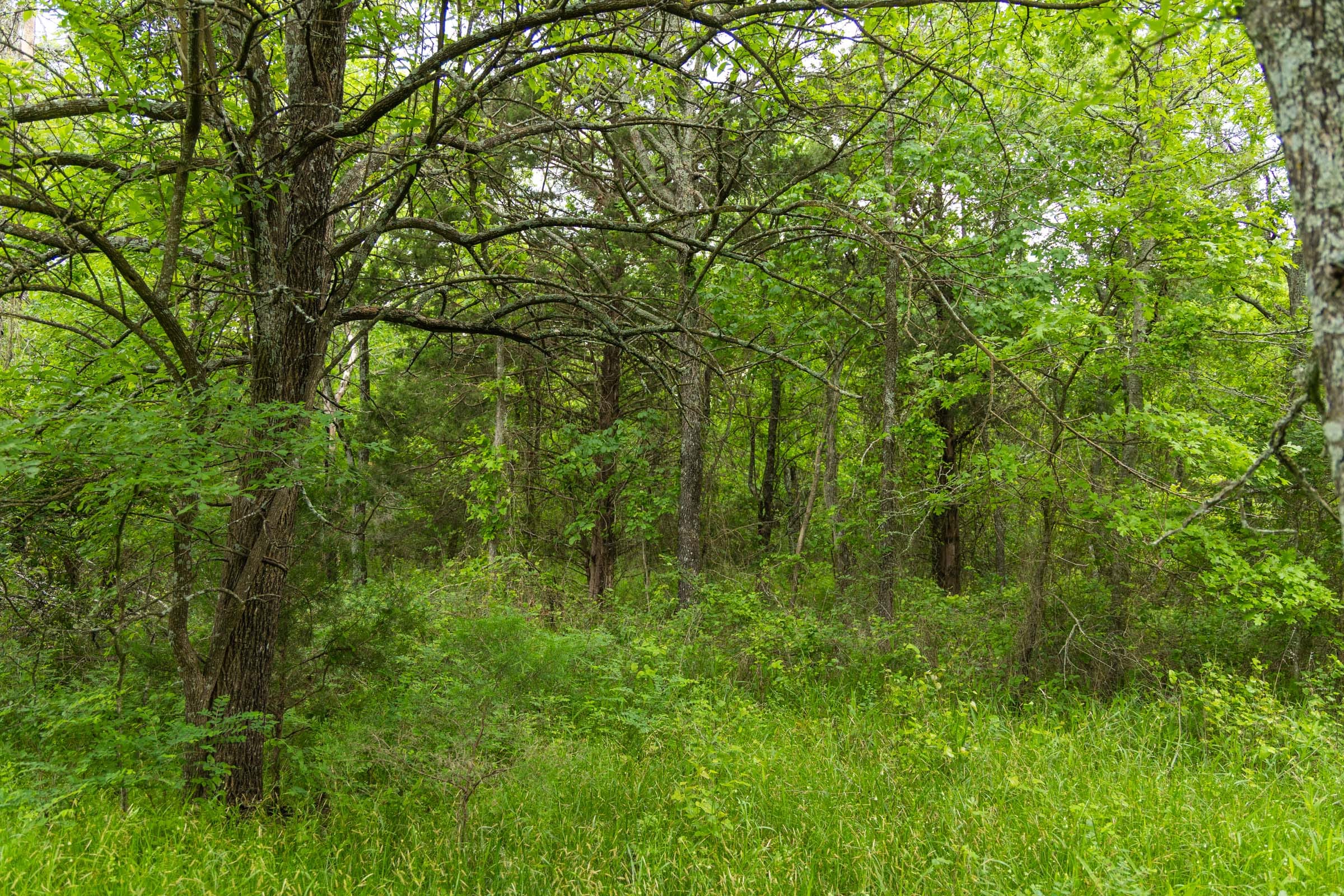 Harmony Hills Tract 10 photo 14