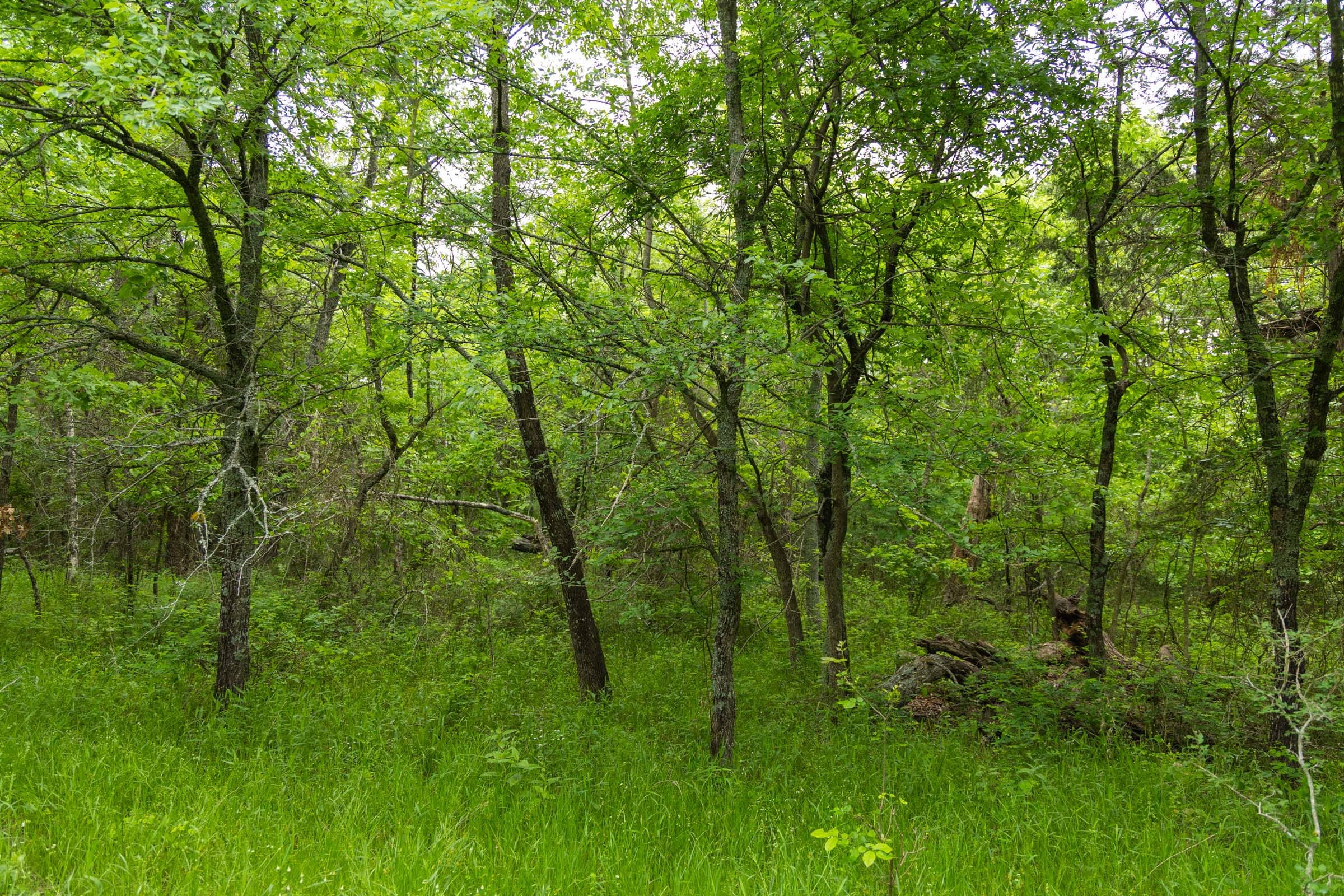 Harmony Hills Tract 10 photo 4