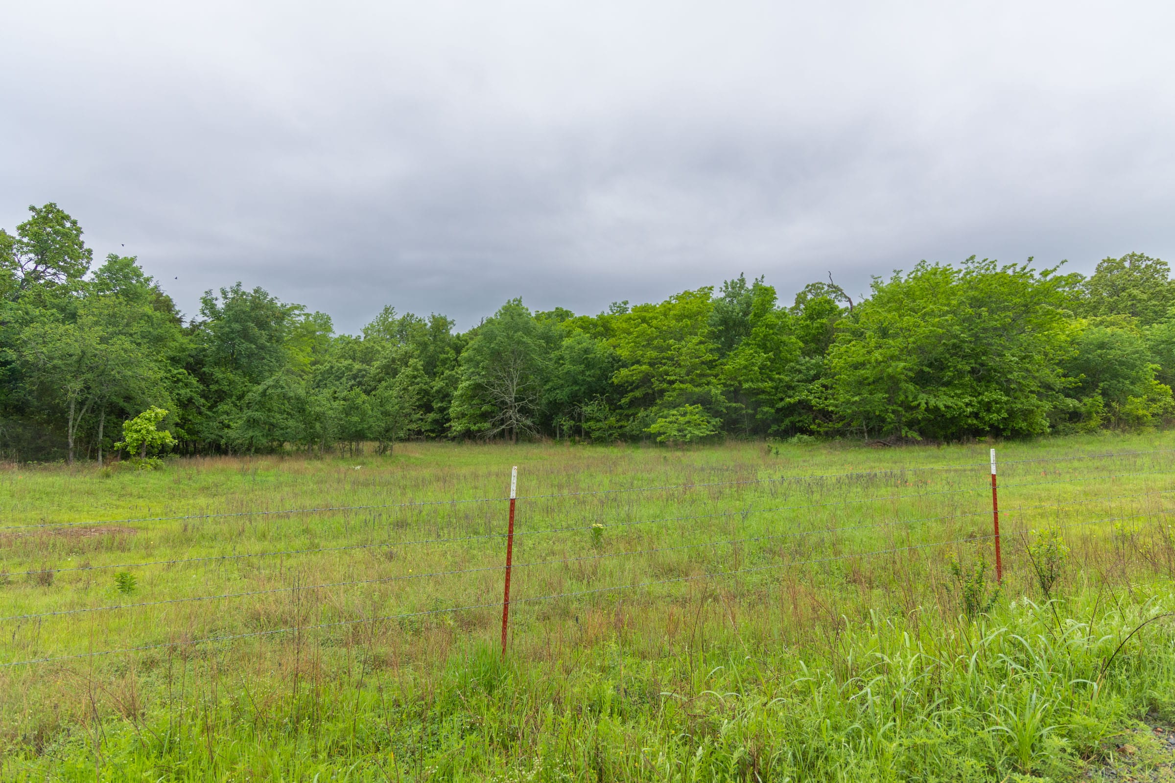 Harmony Hills Tract 10 photo 13