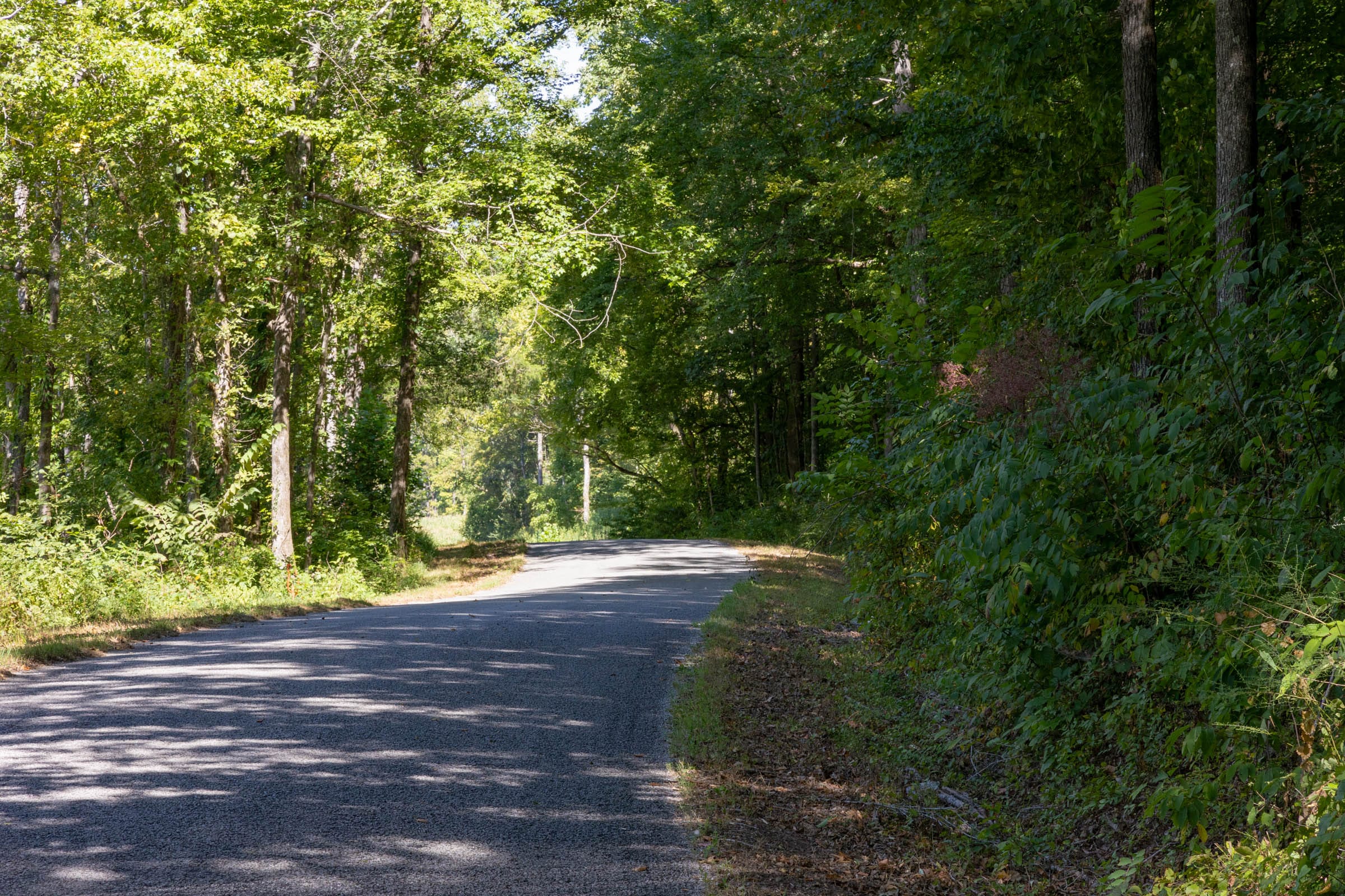 Big White Oak Tract 15 photo 4