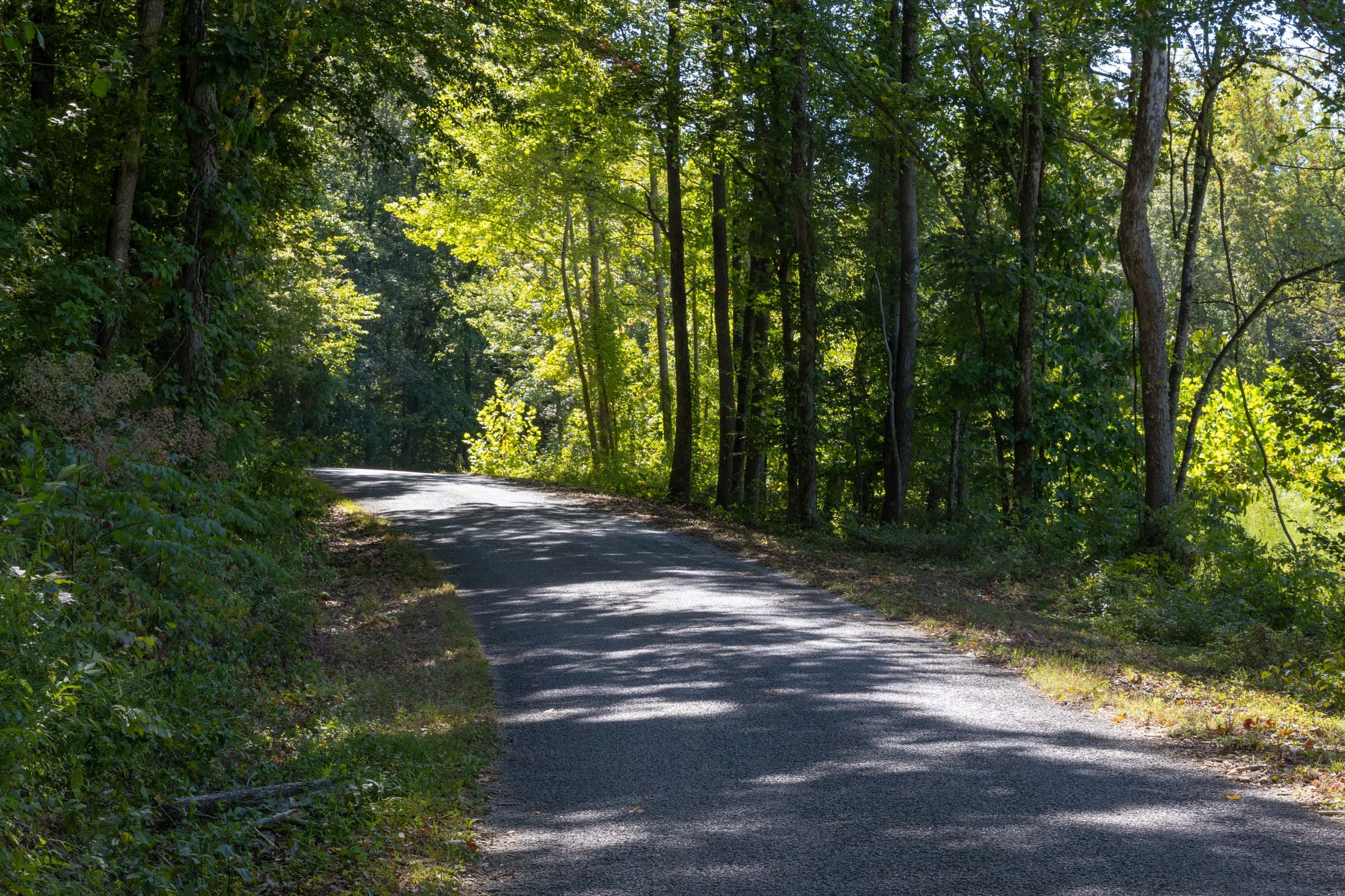 Big White Oak Tract 15 photo 1