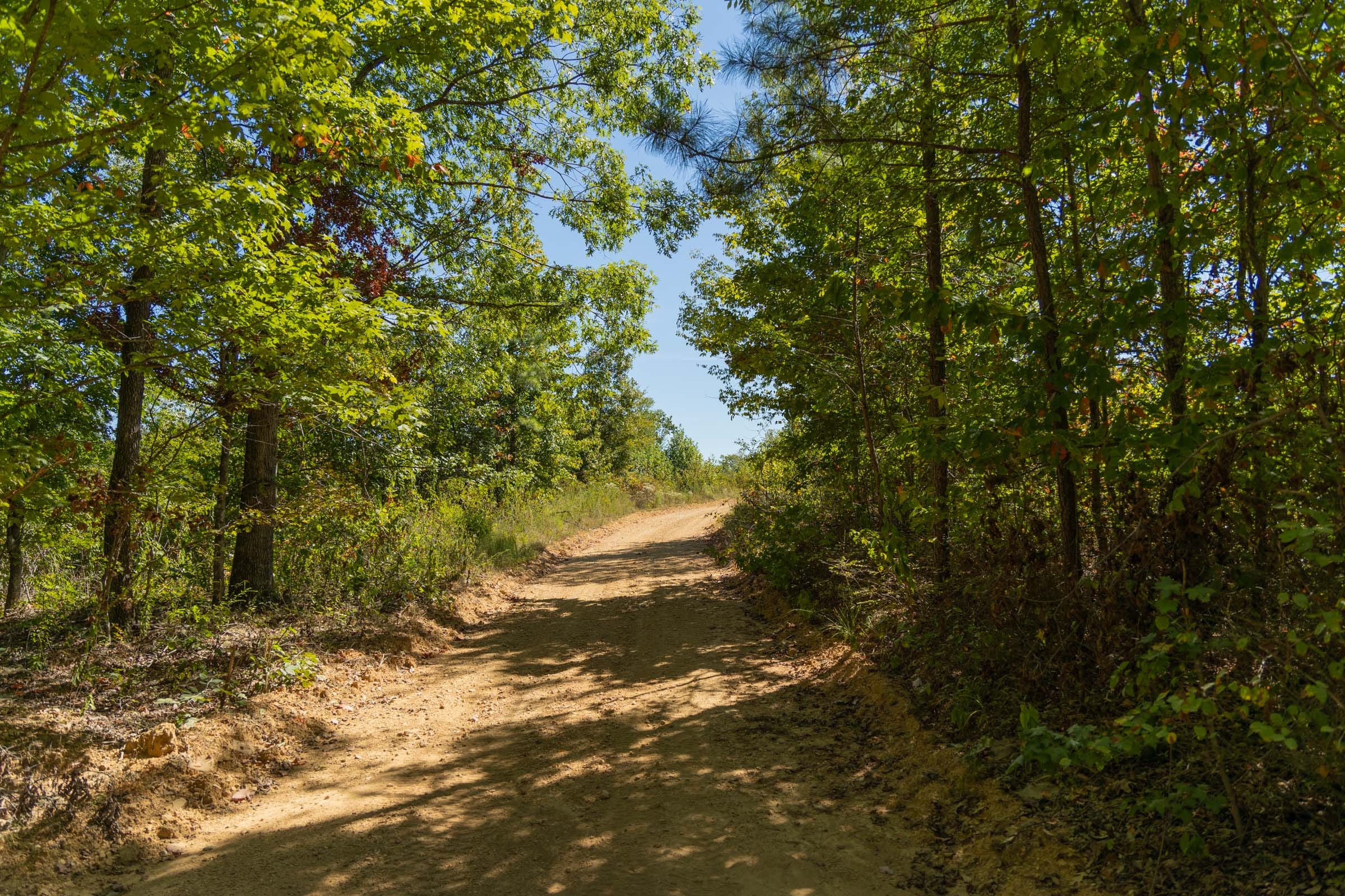 Big White Oak Tract 54 photo 7