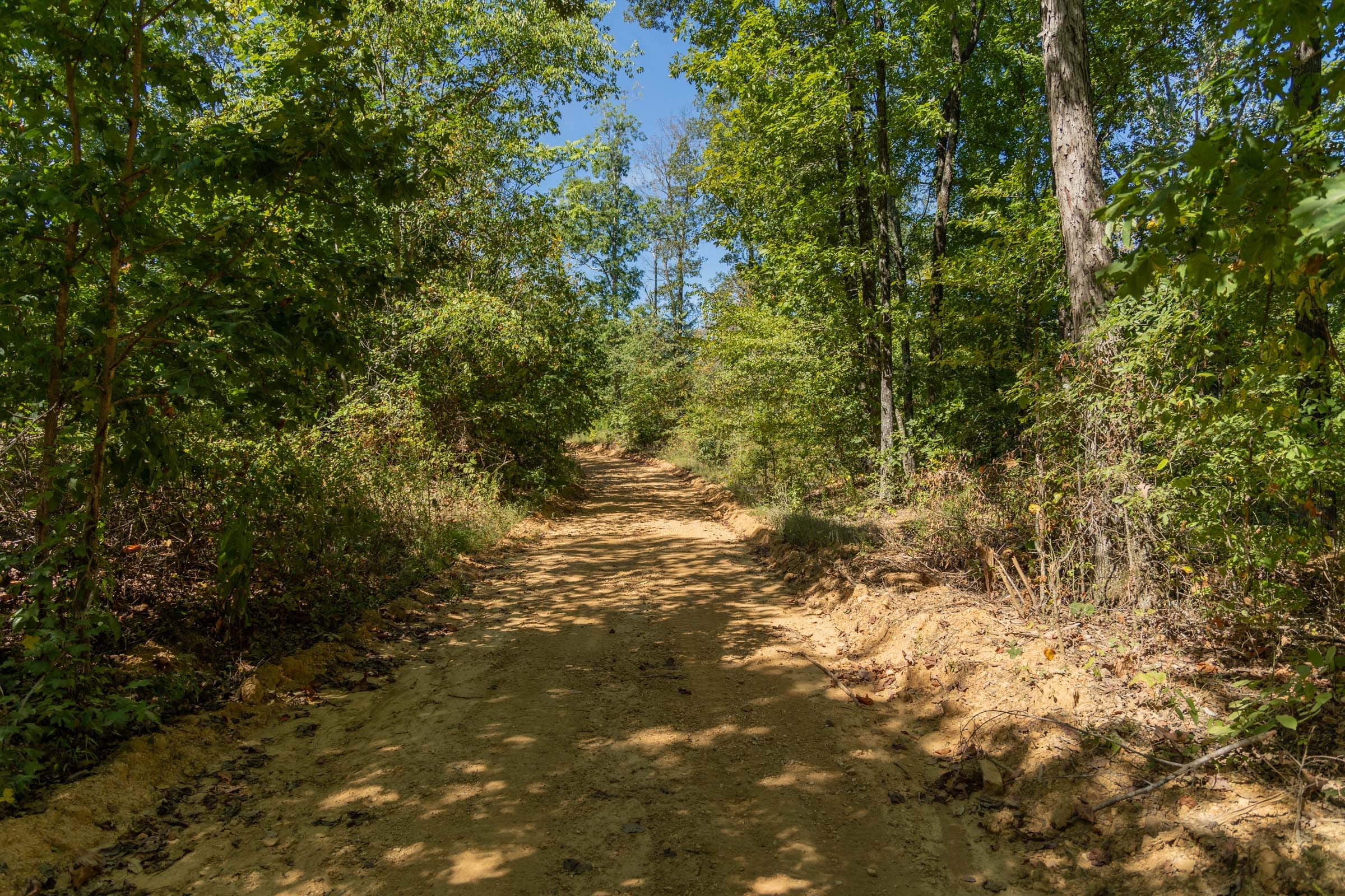 Big White Oak Tract 54 photo 1