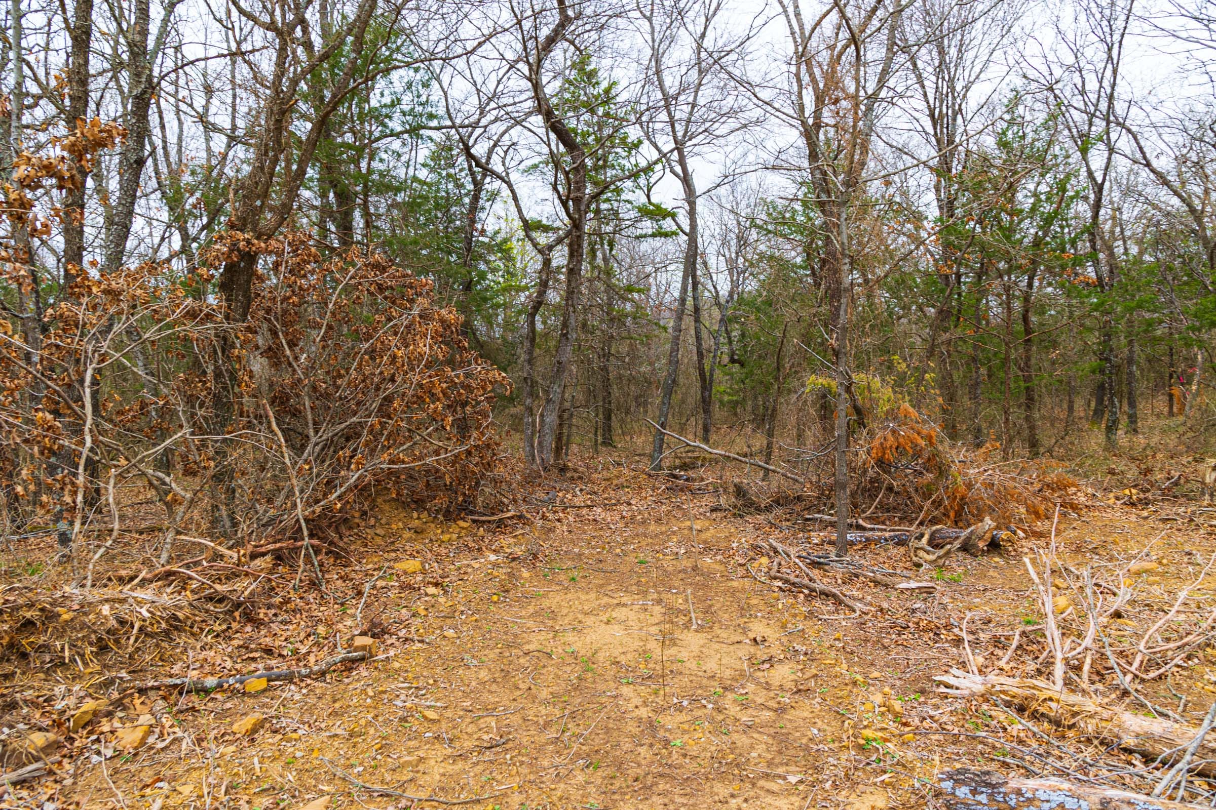 Reserves At Cattail Cove Phase I Tract 21 photo 20