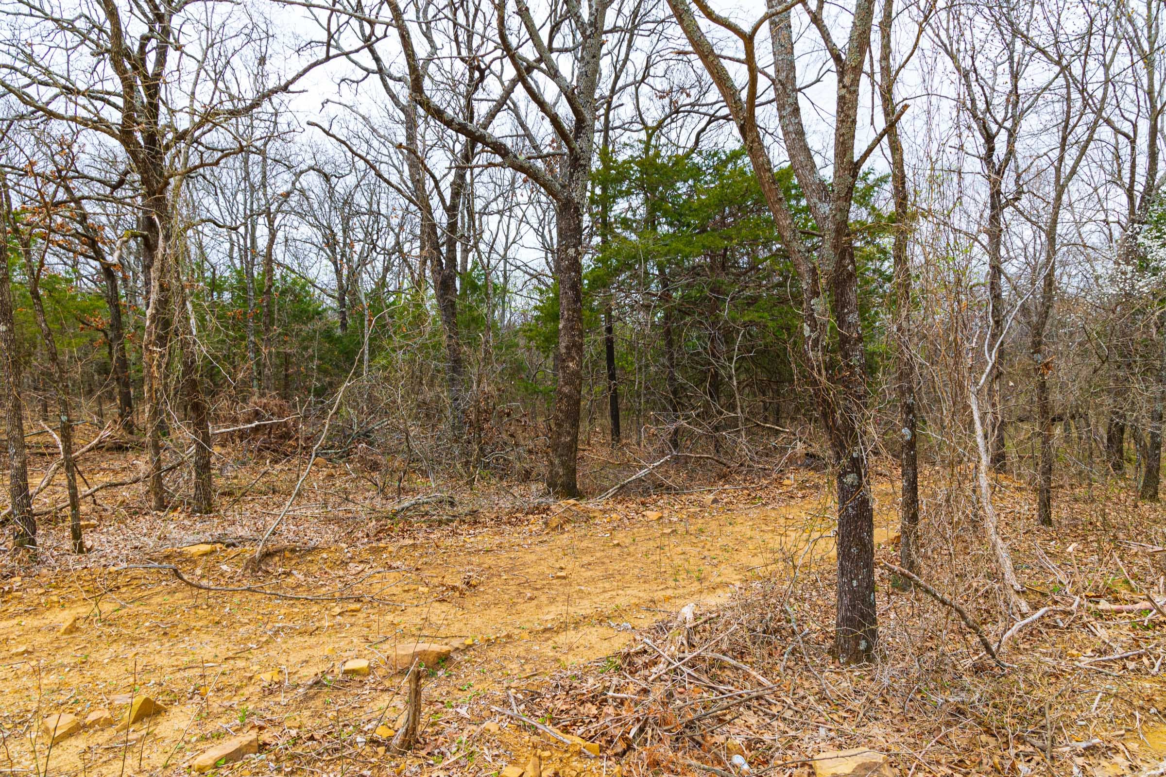 Reserves At Cattail Cove Phase I Tract 21 photo 17
