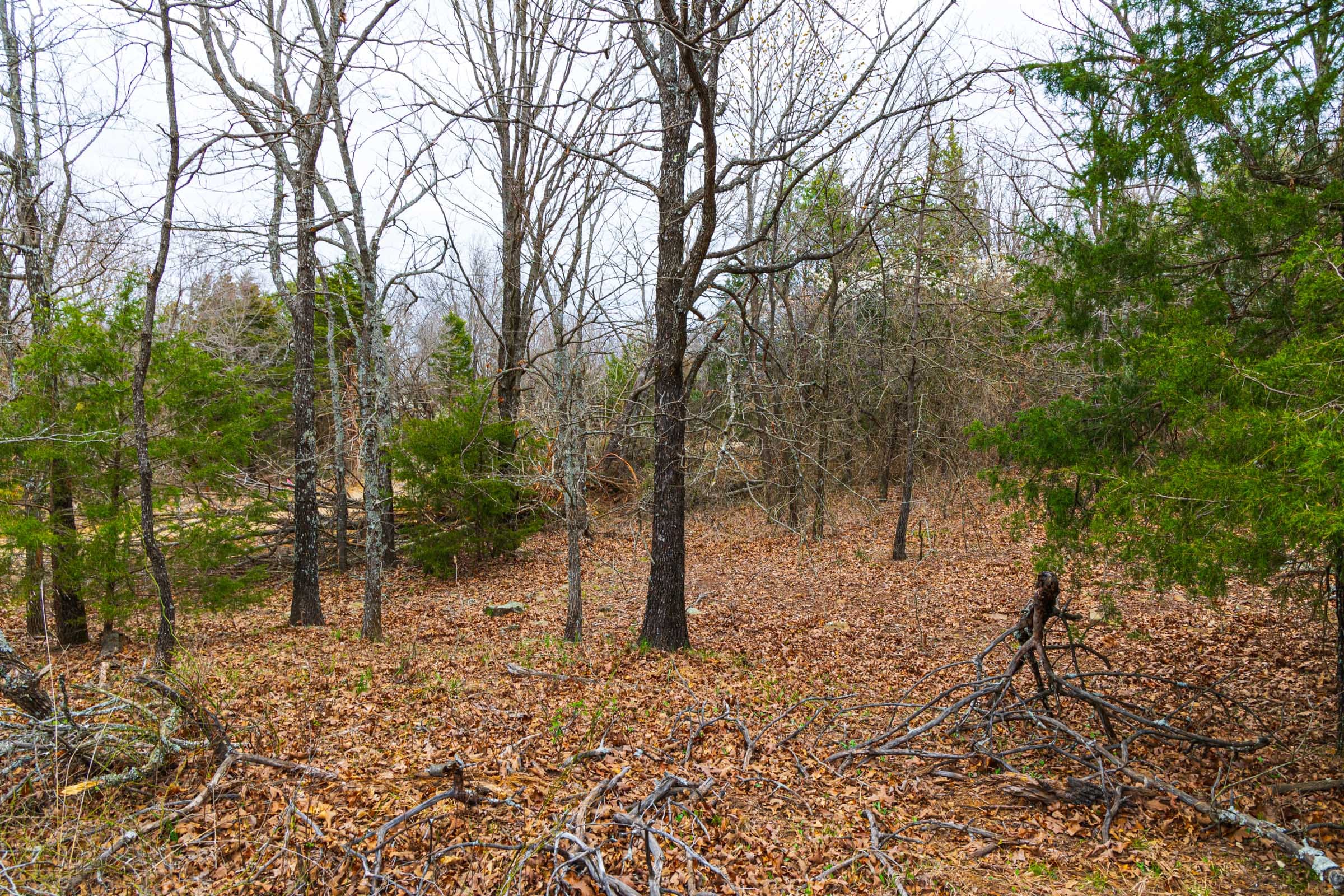 Reserves At Cattail Cove Phase I Tract 21 photo 16