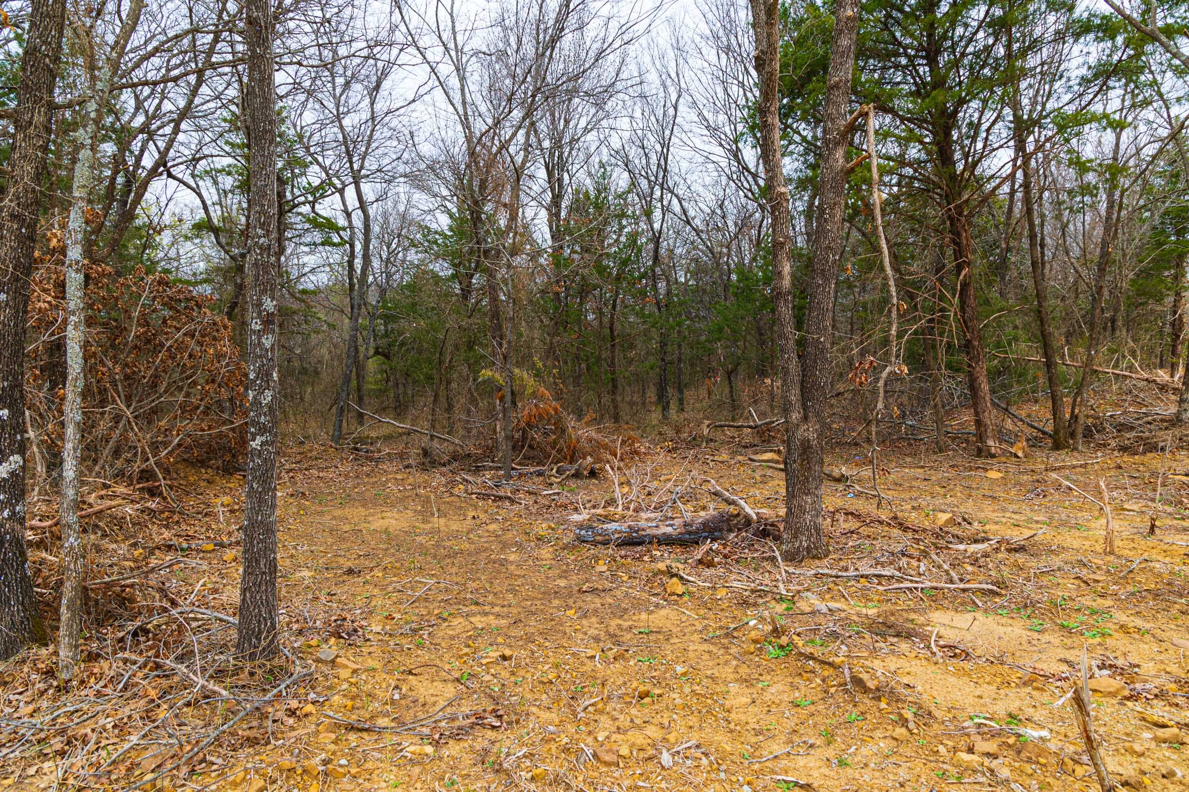 Reserves At Cattail Cove Phase I Tract 21 photo 15