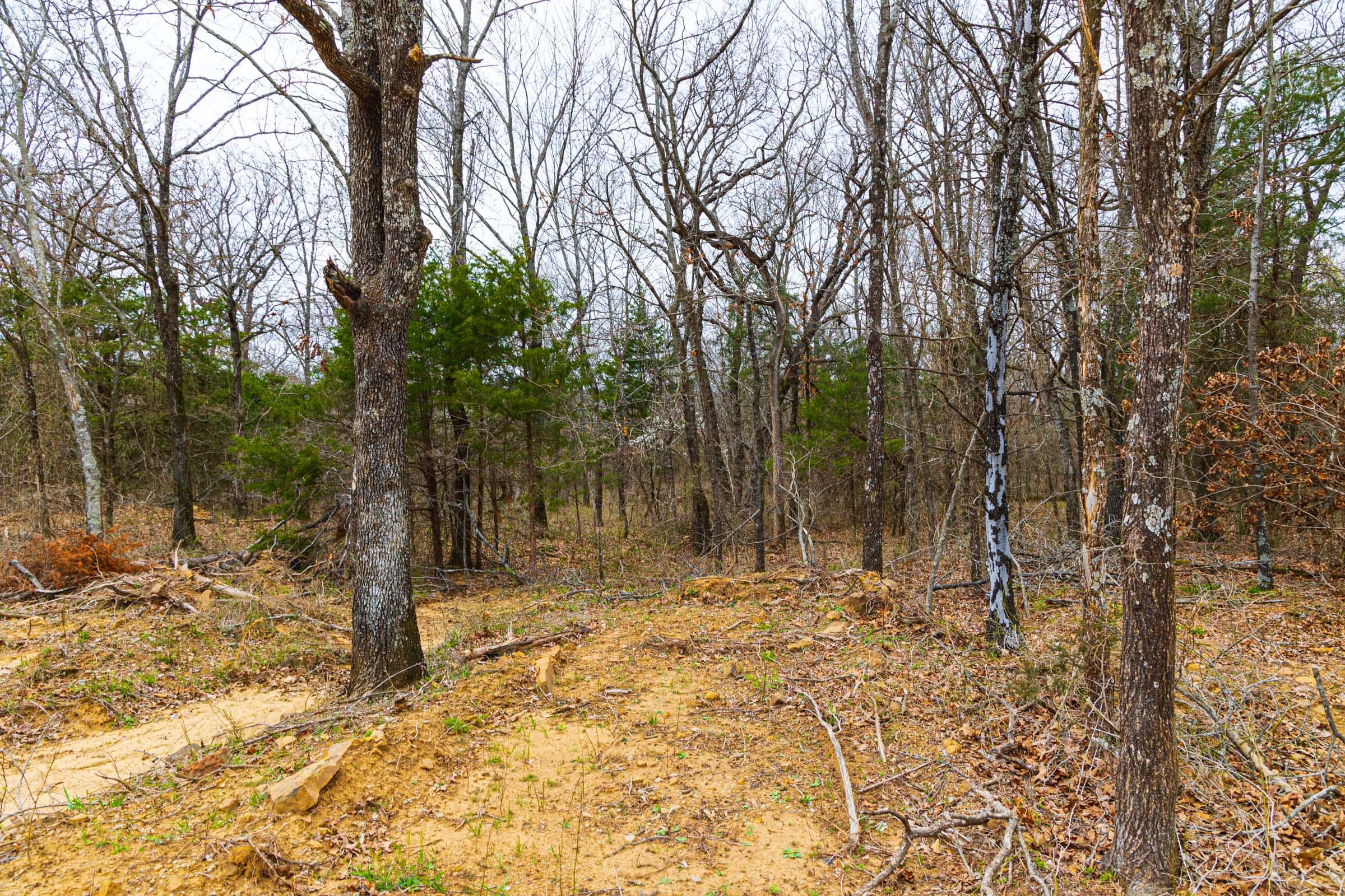 Reserves At Cattail Cove Phase I Tract 21 photo 6
