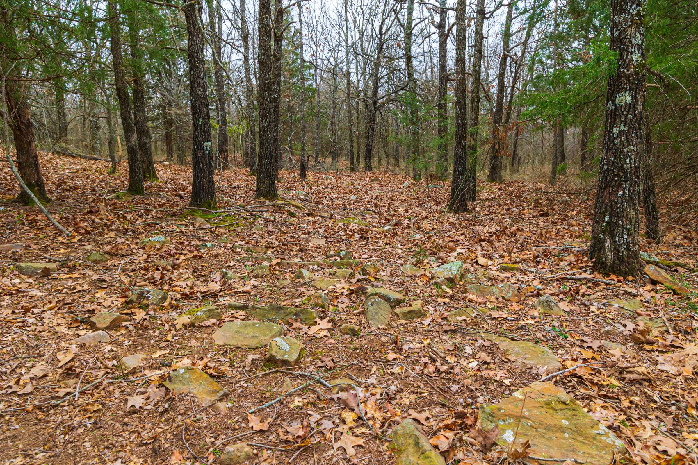 Reserves At Cattail Cove Phase I Tract 21 photo 14