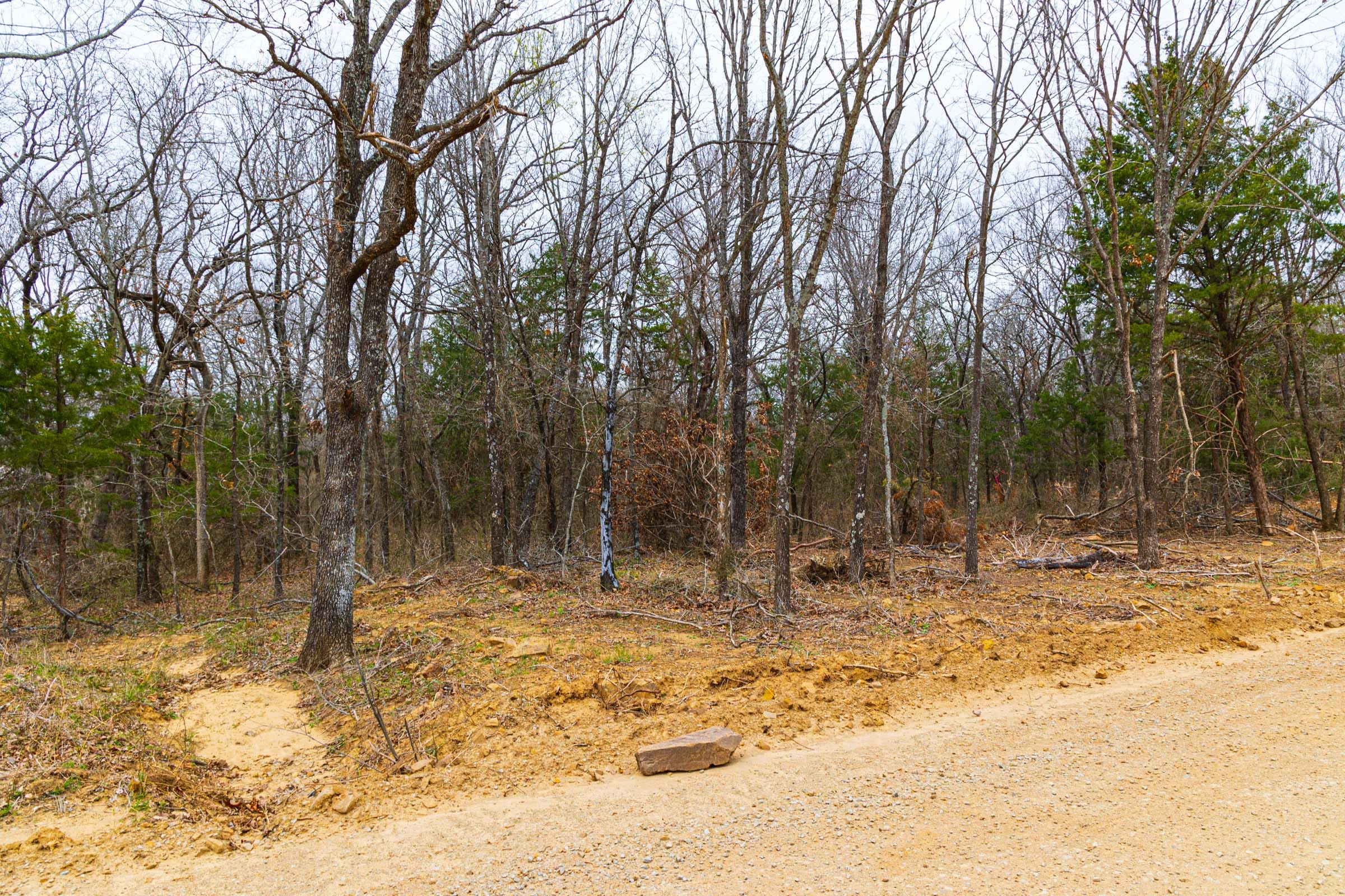 Reserves At Cattail Cove Phase I Tract 21 photo 5