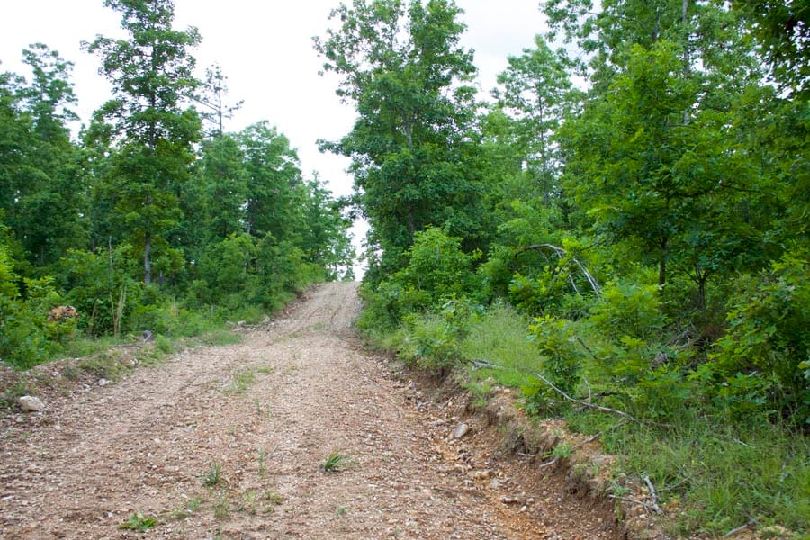 Thunder Mountain Ranch Tract 34 photo 3
