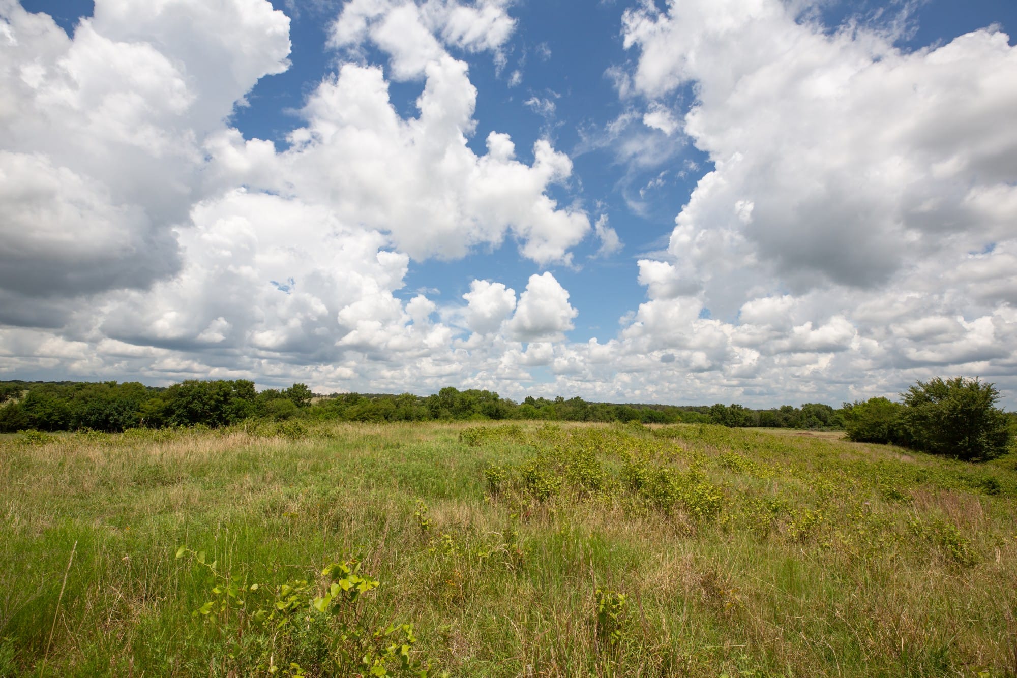 Paradise Valley Tract 6 photo 3