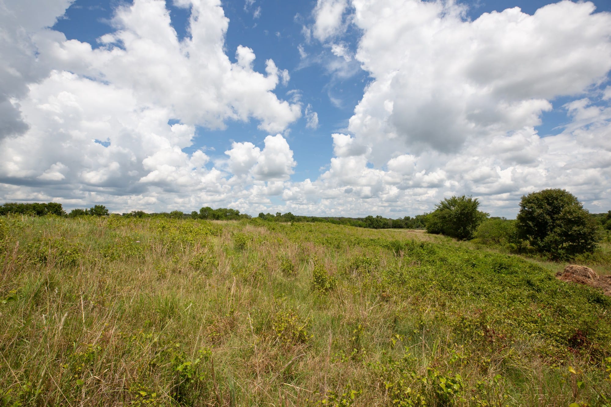 Paradise Valley Tract 6 photo 4