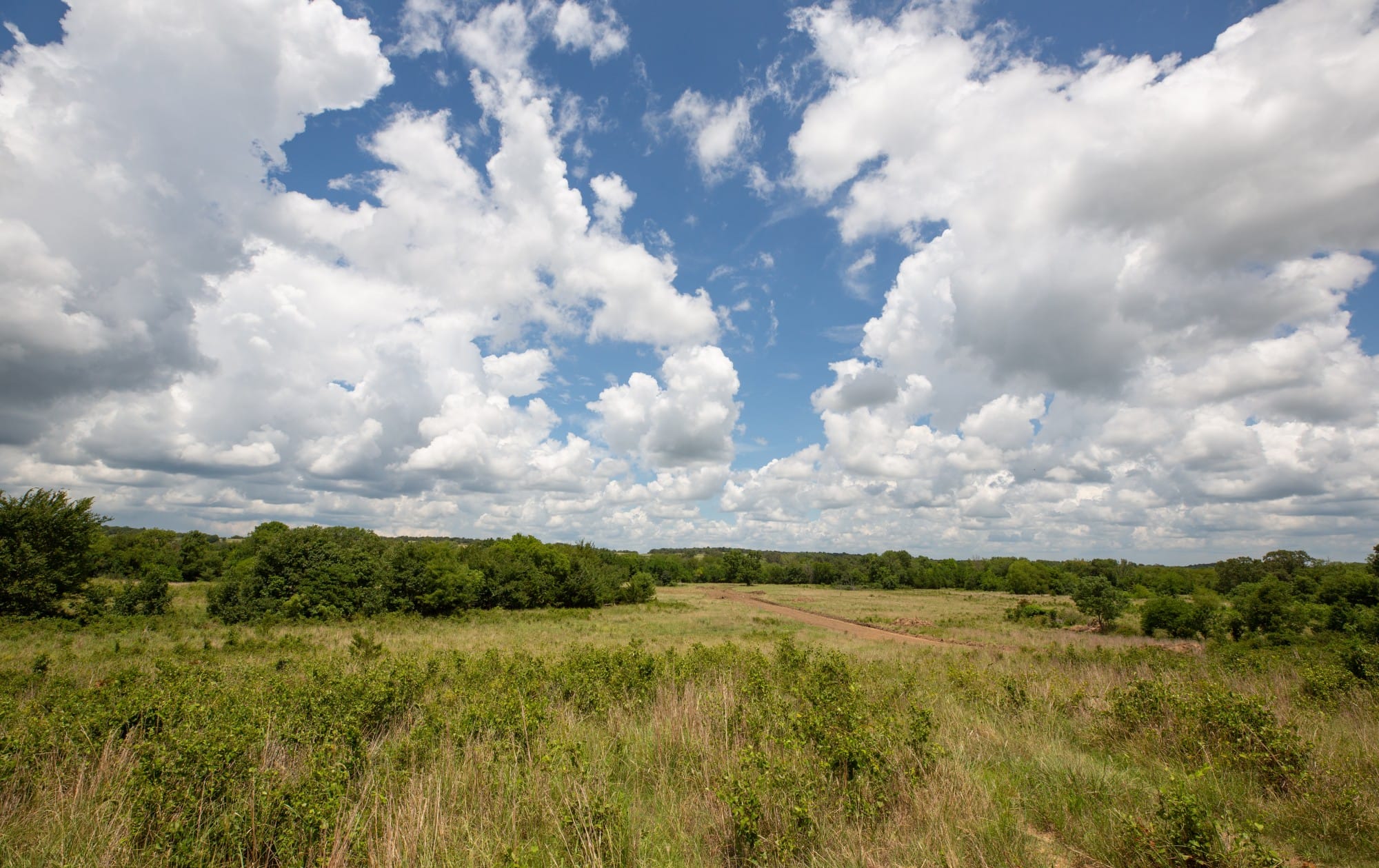 Paradise Valley Tract 6 photo 5