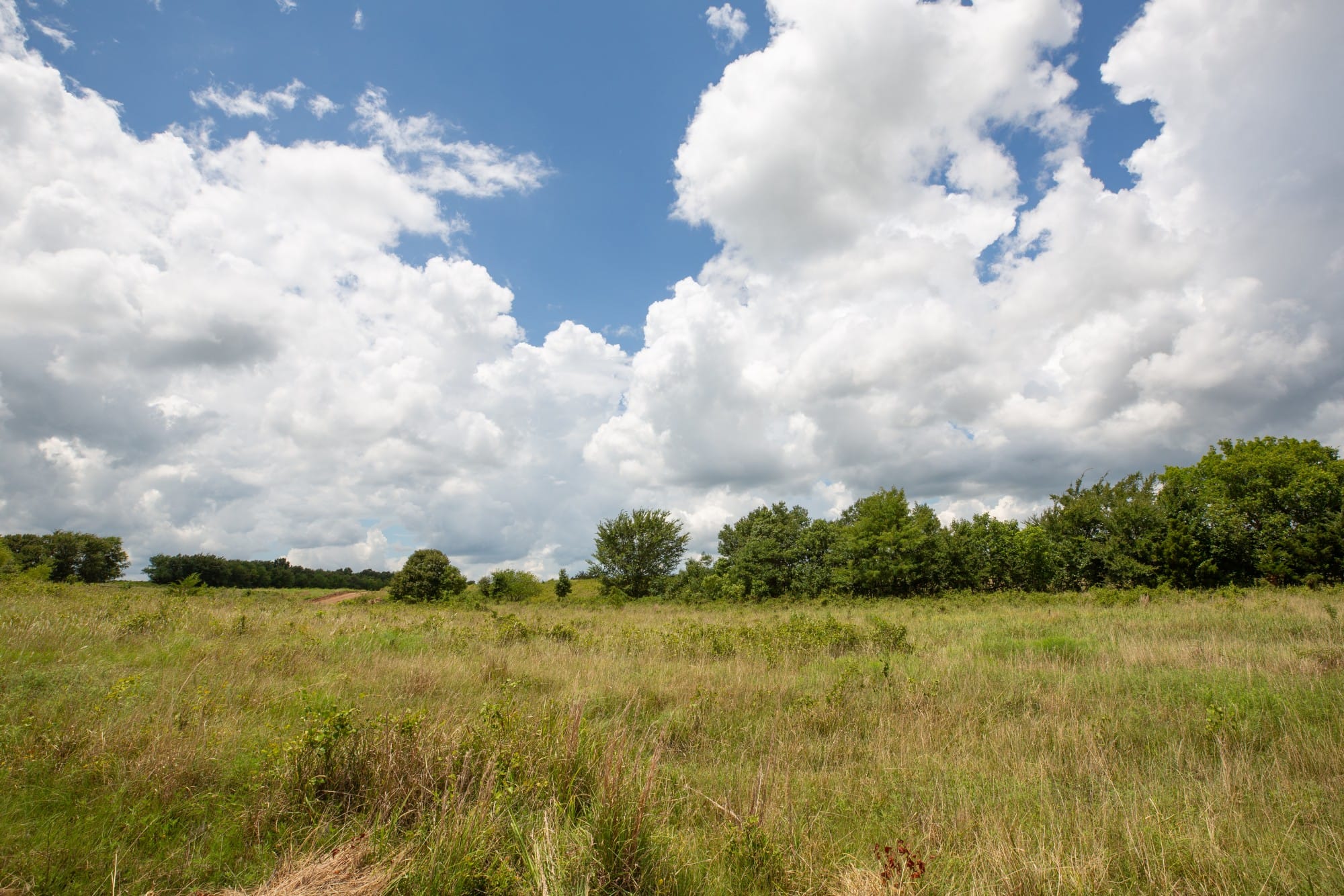 Paradise Valley Tract 6 photo 7