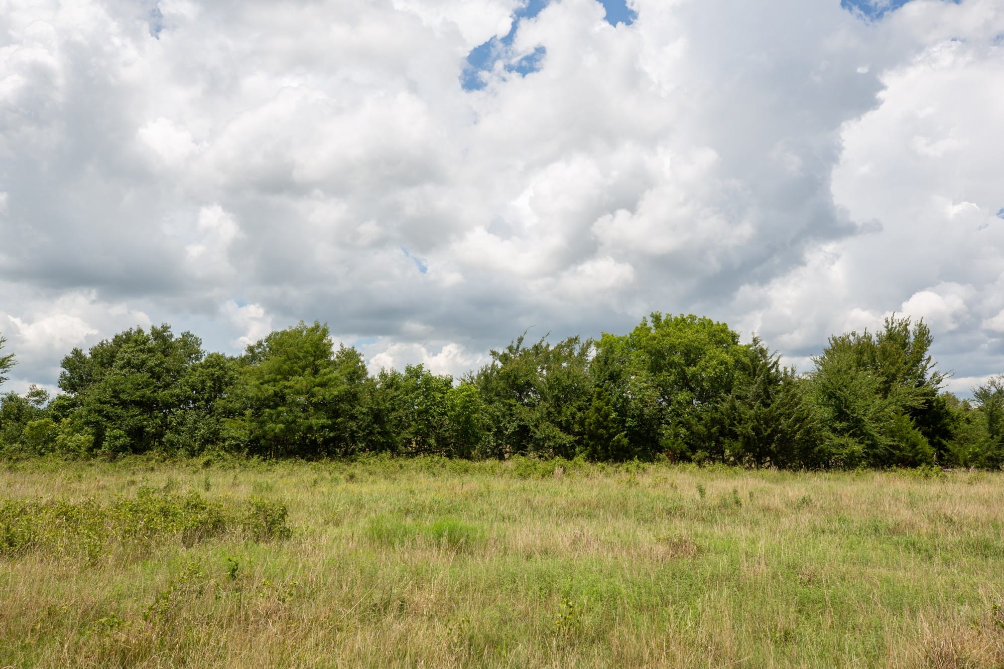 Paradise Valley Tract 6 photo 9