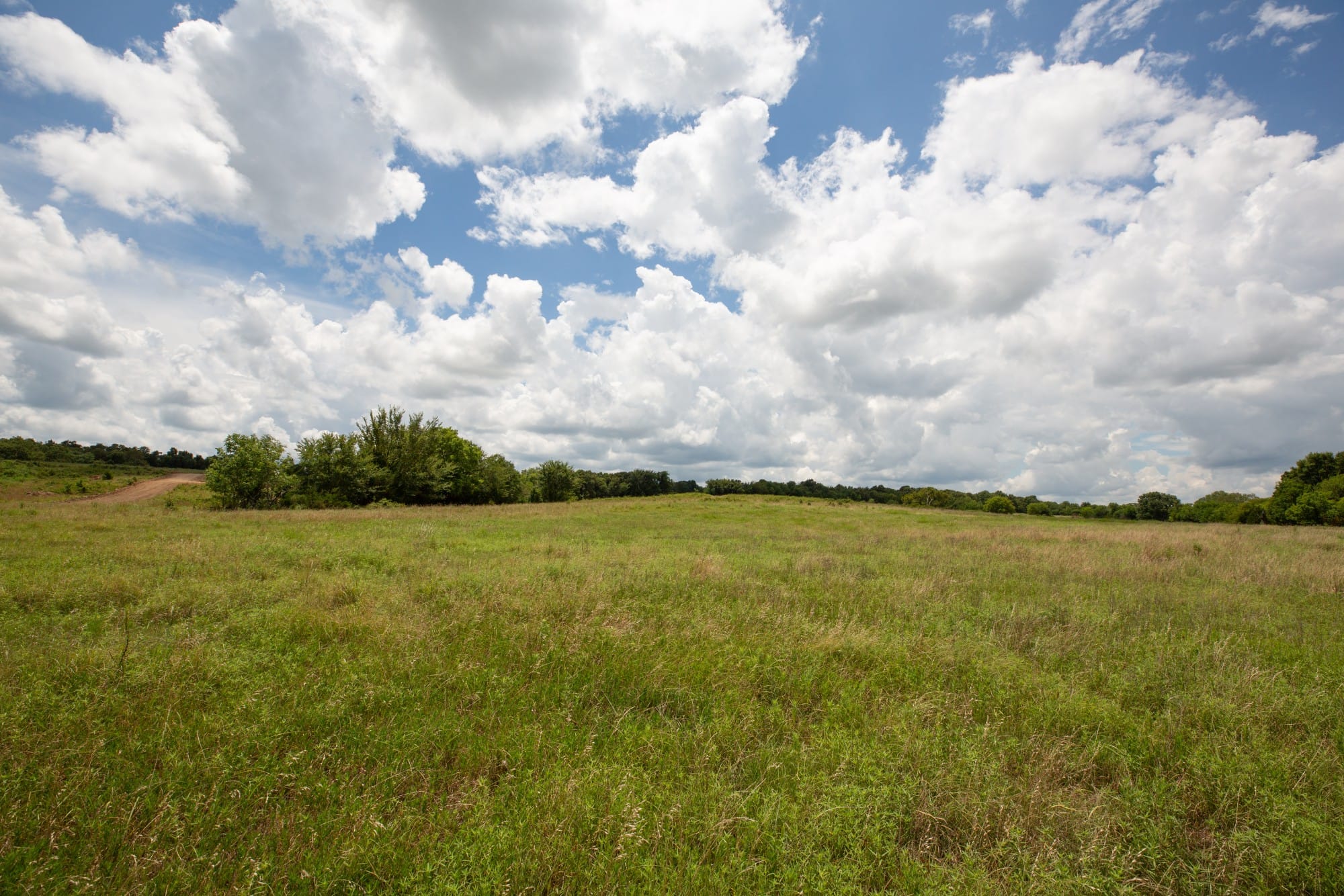 Paradise Valley Tract 6 photo 10