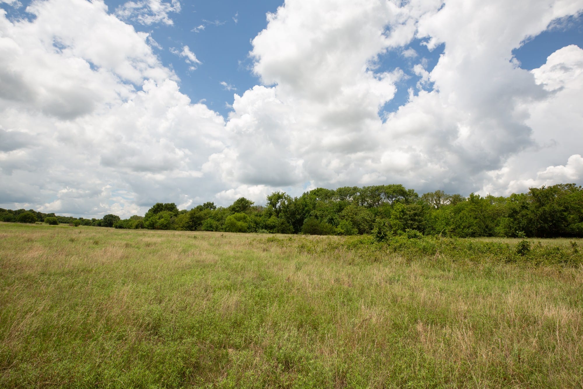Paradise Valley Tract 6 photo 12