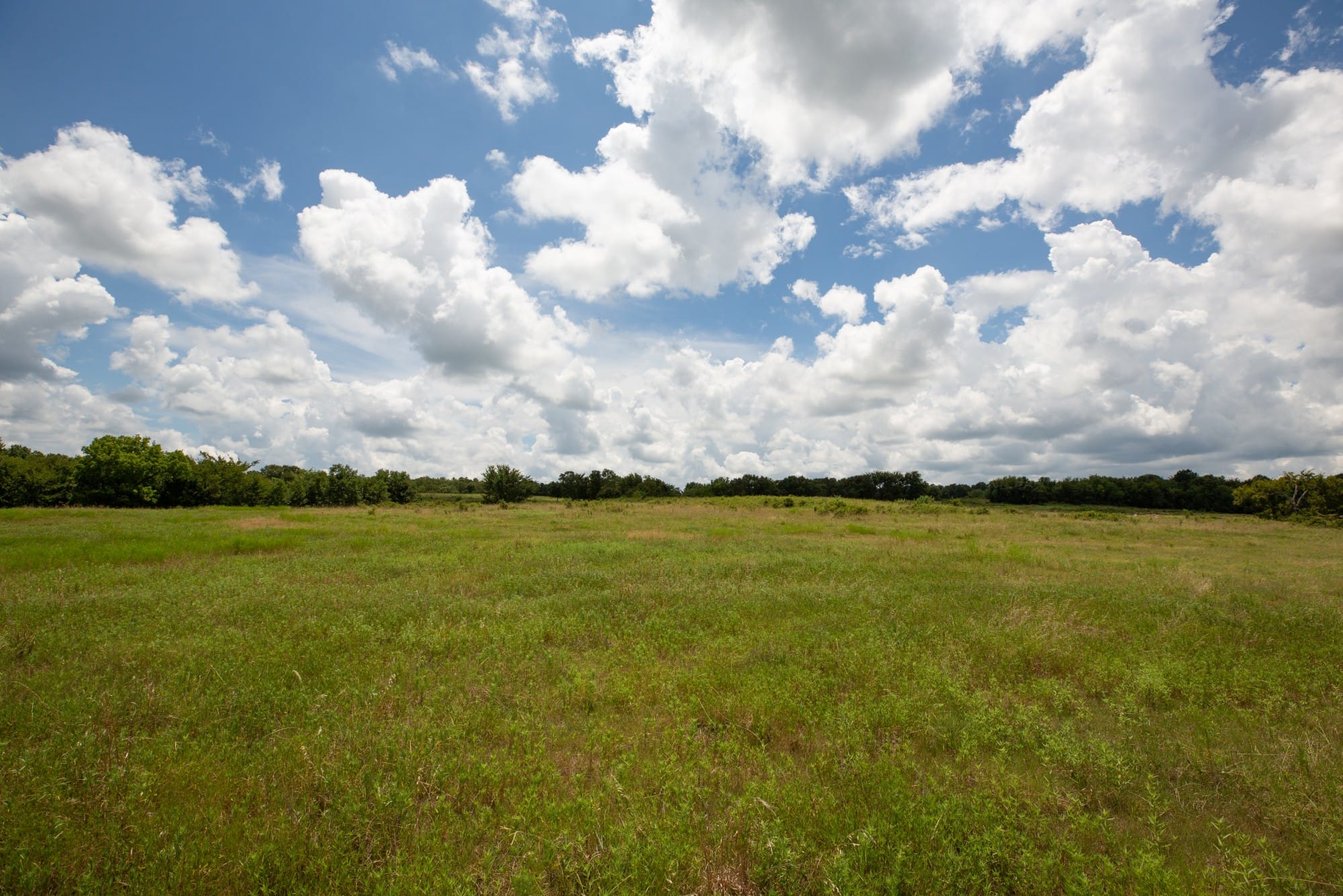Paradise Valley Tract 6 photo 14