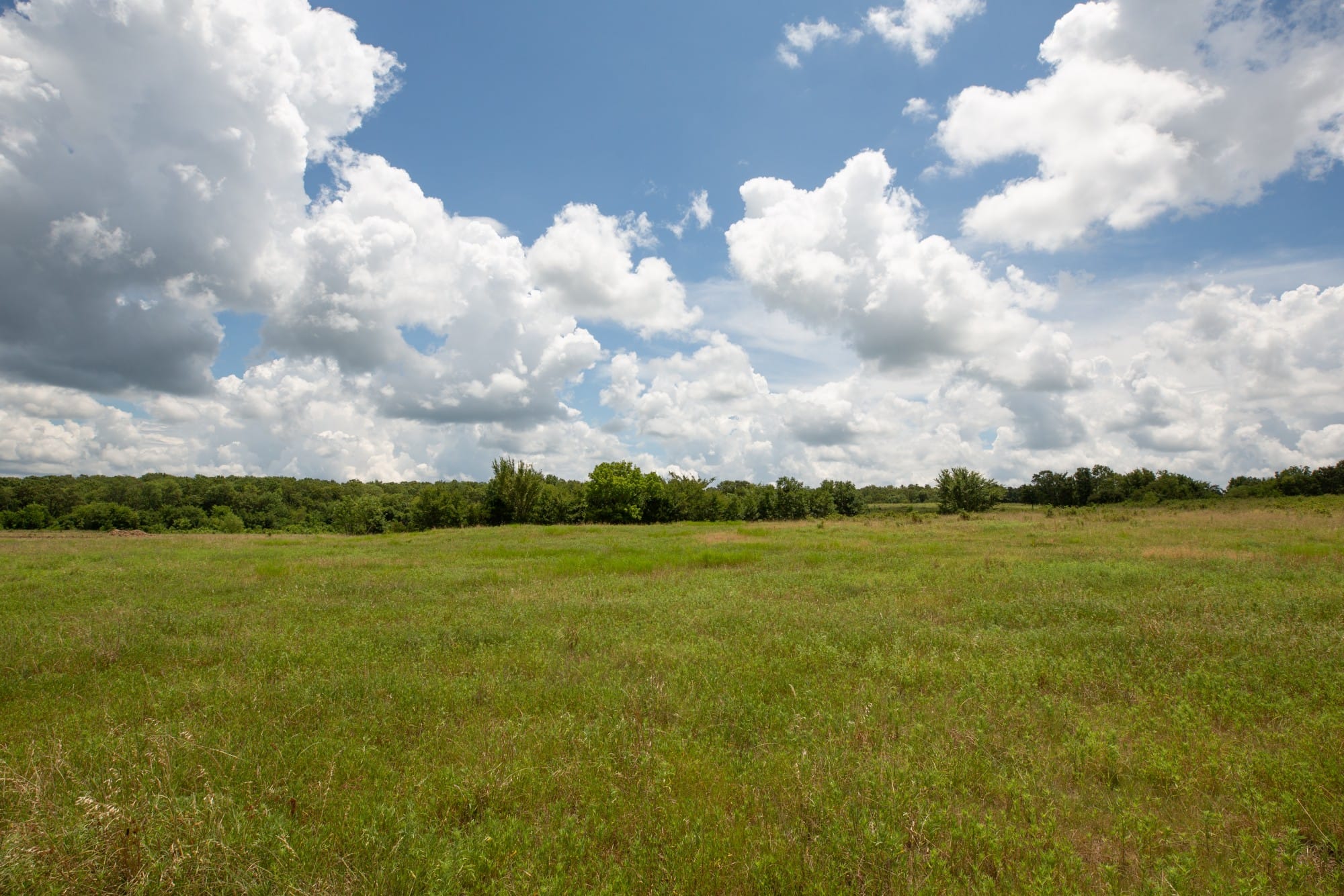 Paradise Valley Tract 6 photo 17
