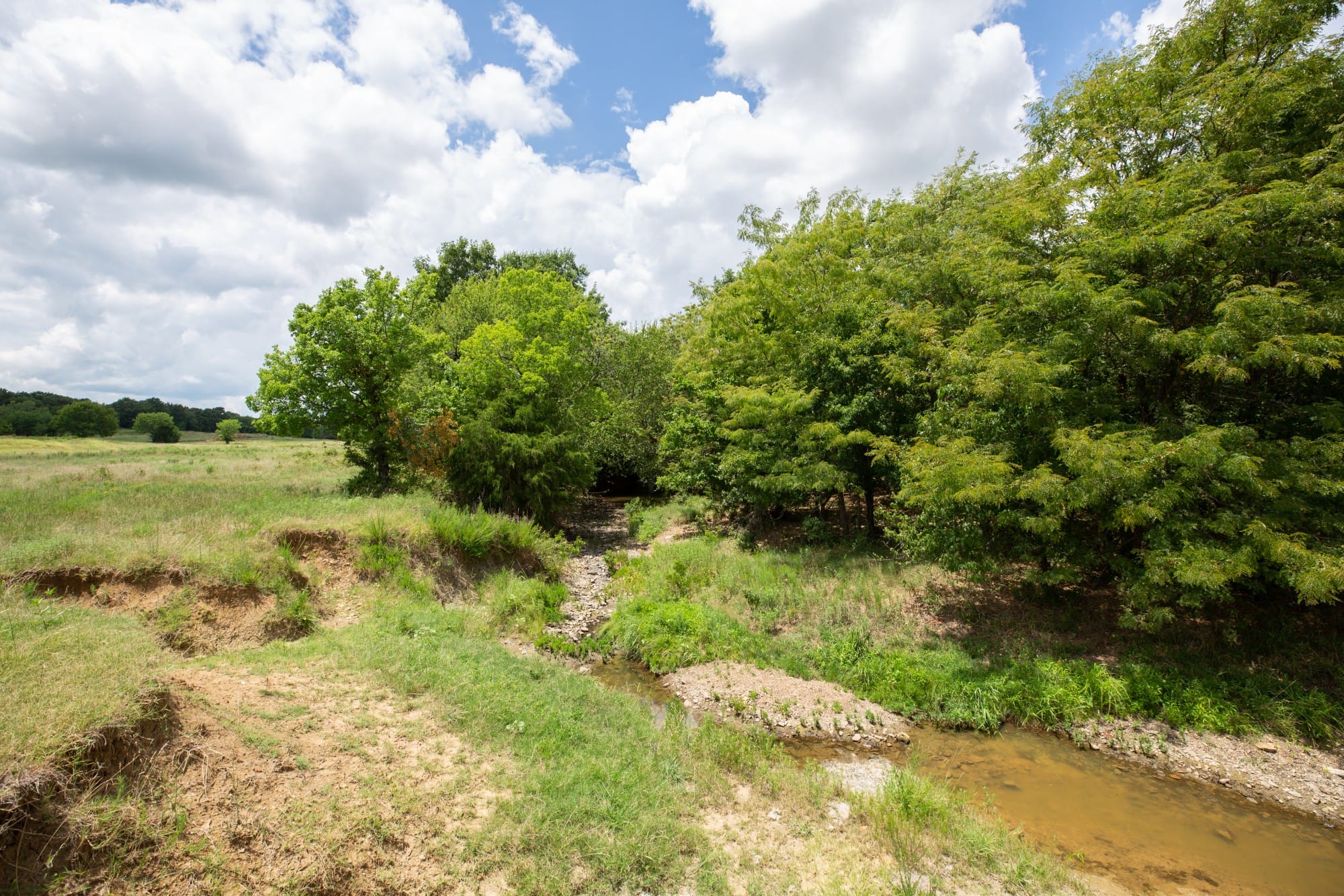 Paradise Valley Tract 6 photo 8