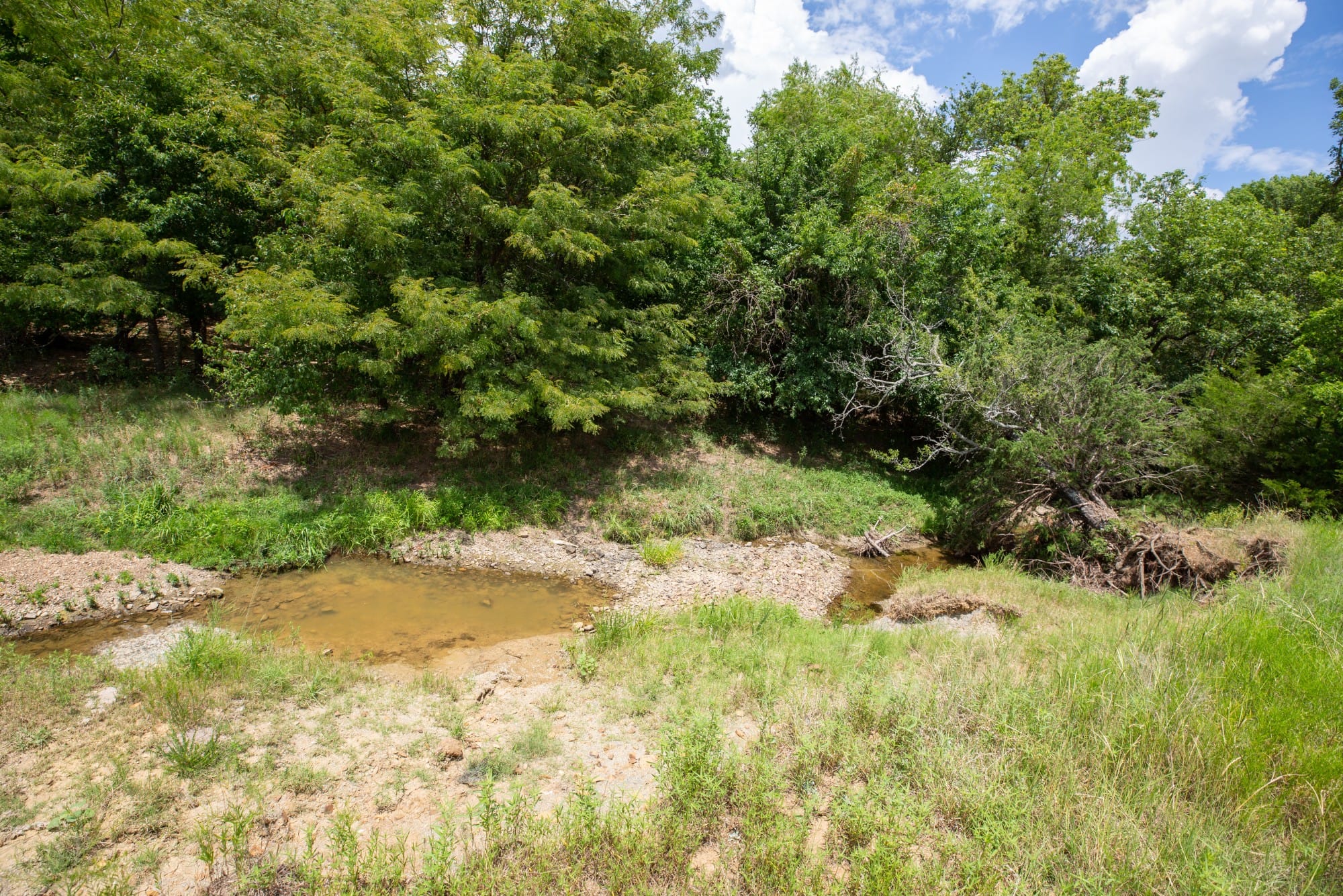 Paradise Valley Tract 6 photo 13
