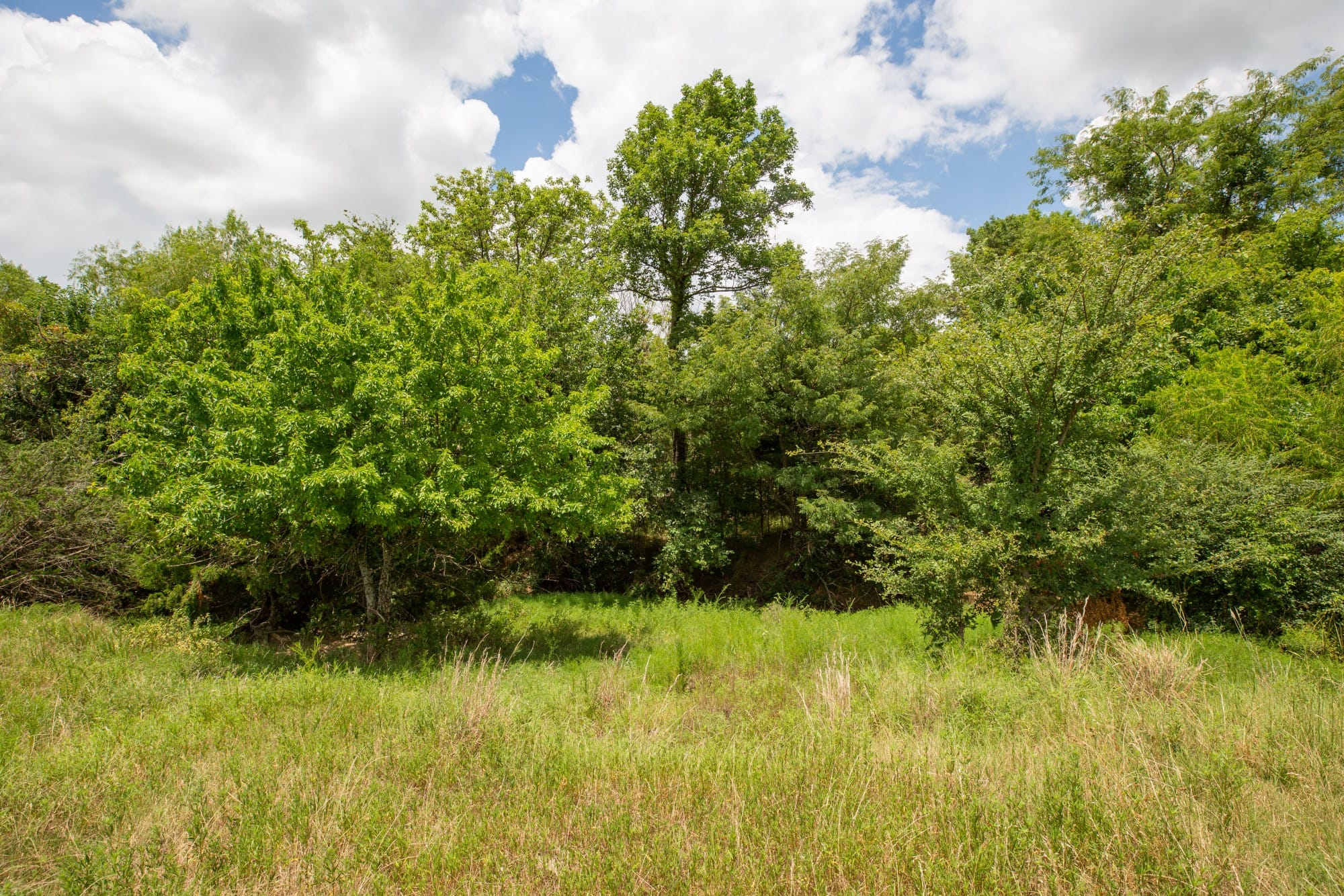 Paradise Valley Tract 6 photo 15
