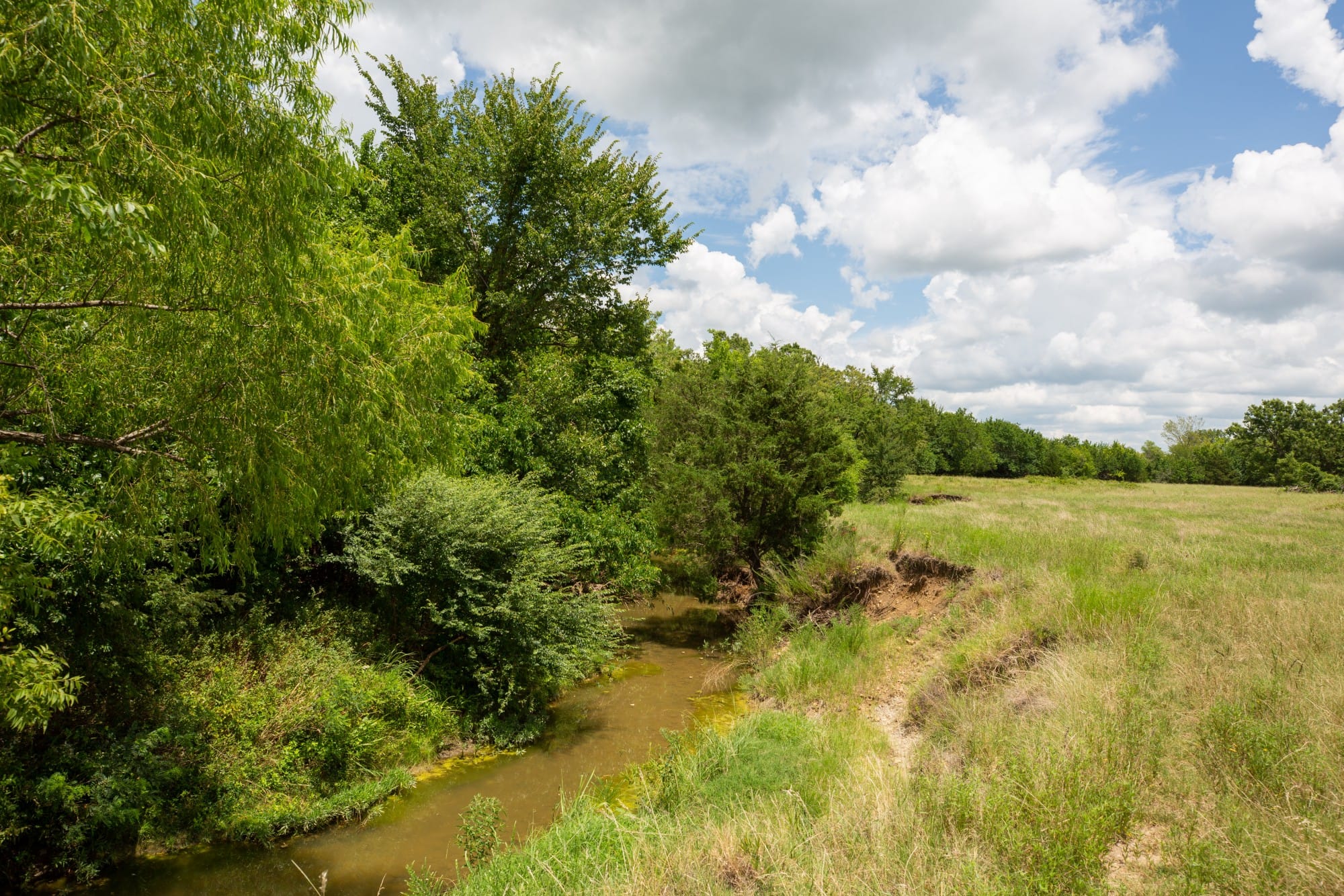 Paradise Valley Tract 6 photo 2