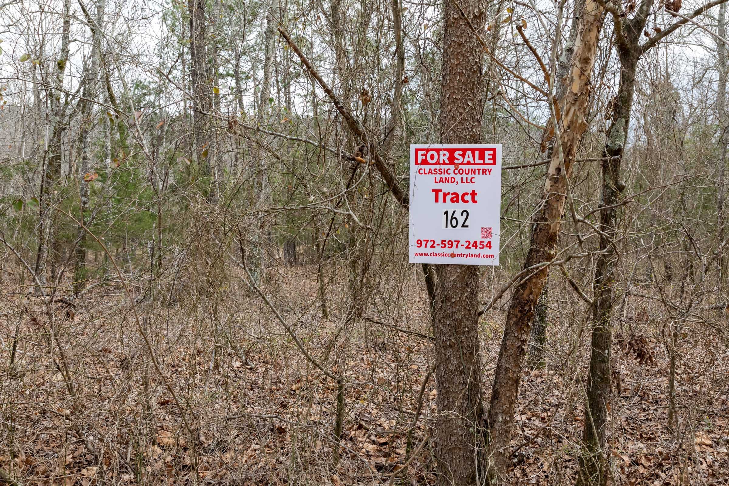 Stone Bridge Phase III Tract 162 photo 1
