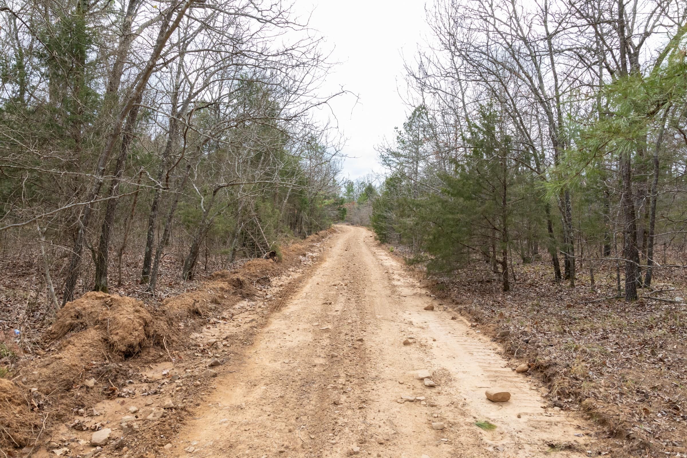 Stone Bridge Phase III Tract 162 photo 2
