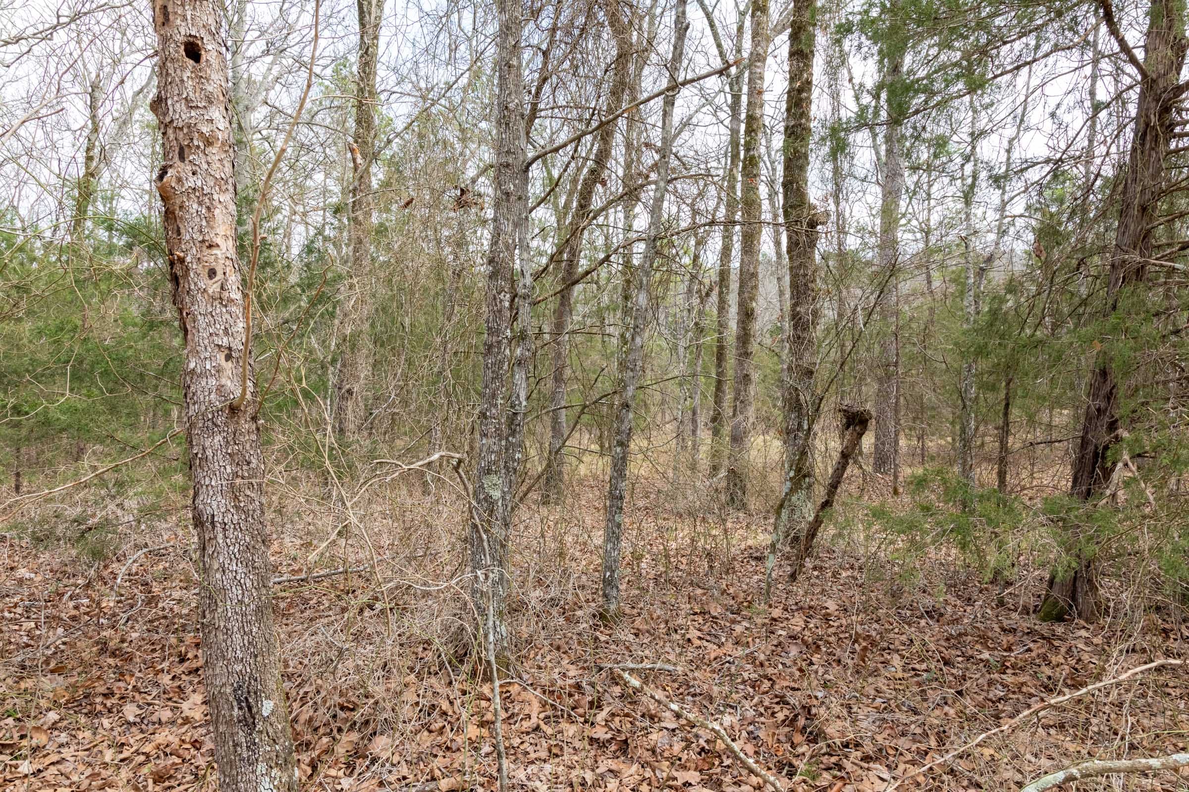 Stone Bridge Phase III Tract 162 photo 6
