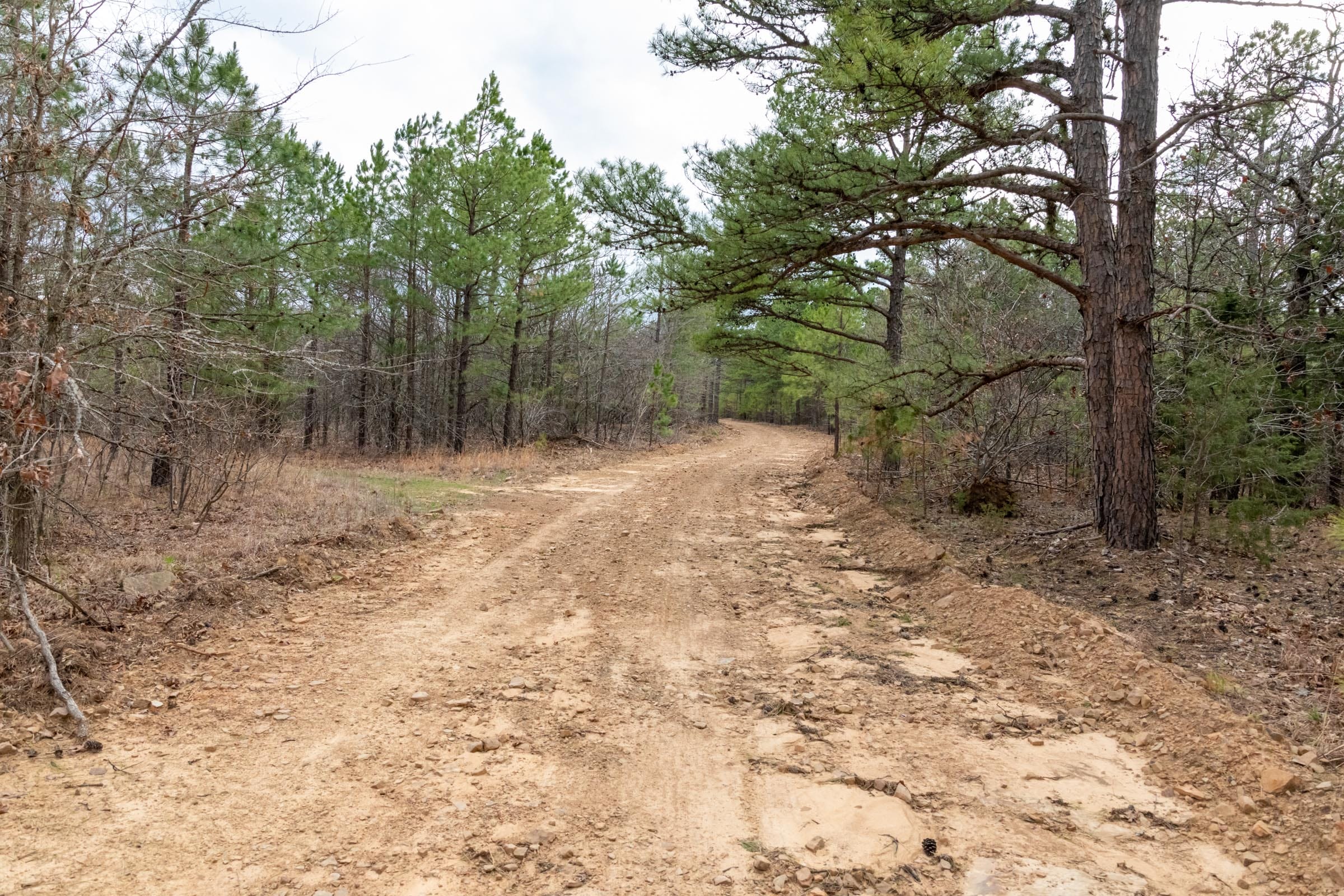 Stone Bridge Phase III Tract 162 photo 8