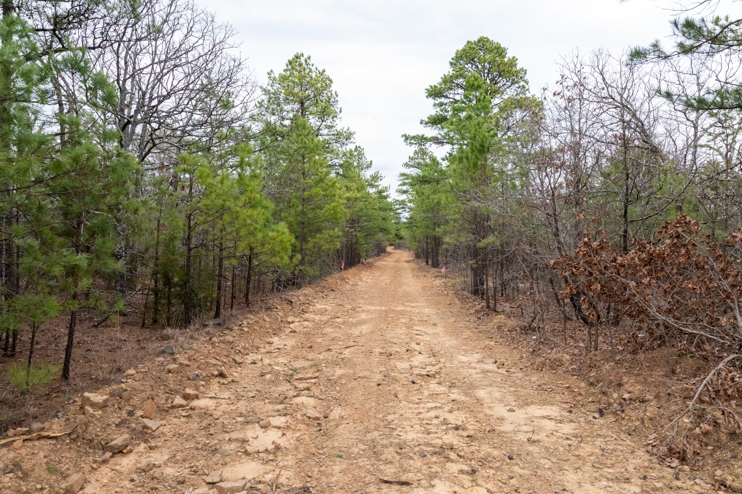 Stone Bridge Phase III Tract 162 photo 10