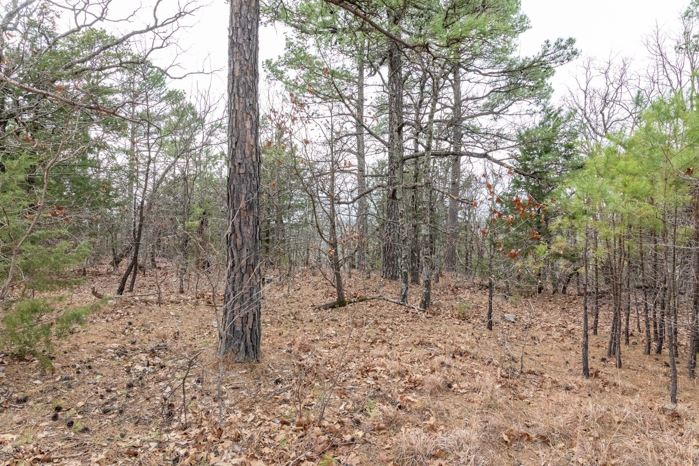Stone Bridge Phase III Tract 162 photo 7