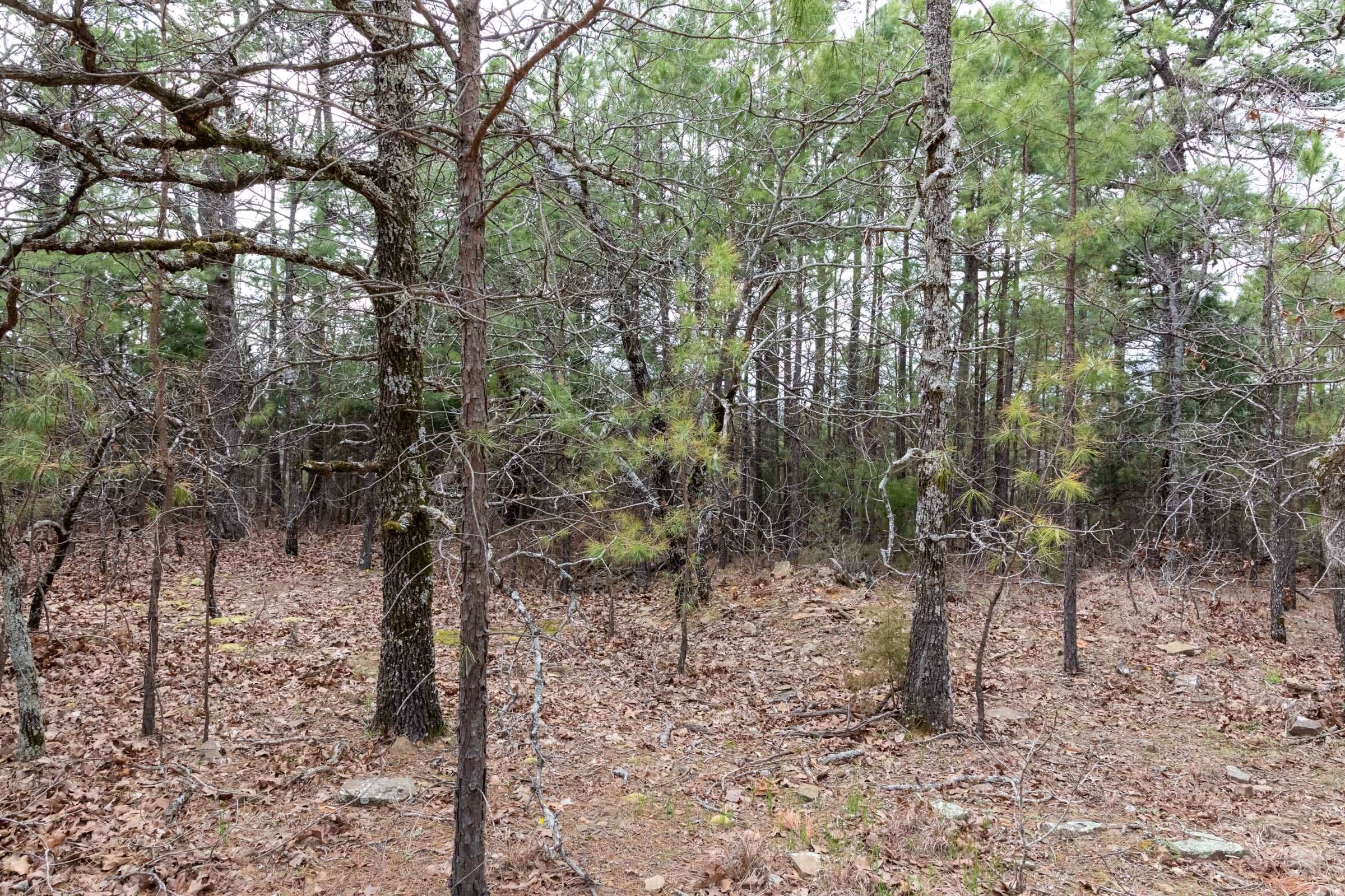 Stone Bridge Phase III Tract 162 photo 11